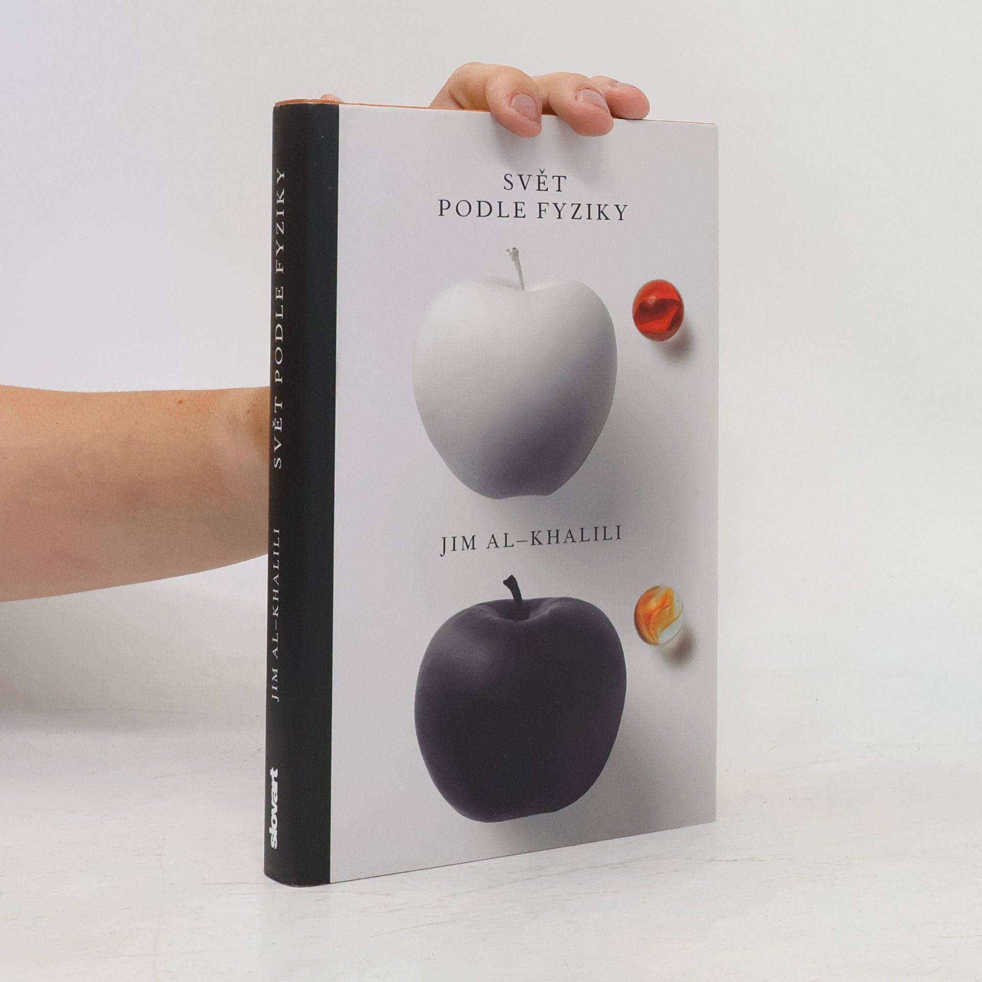 Jim Al Khalili Svět podle fyziky