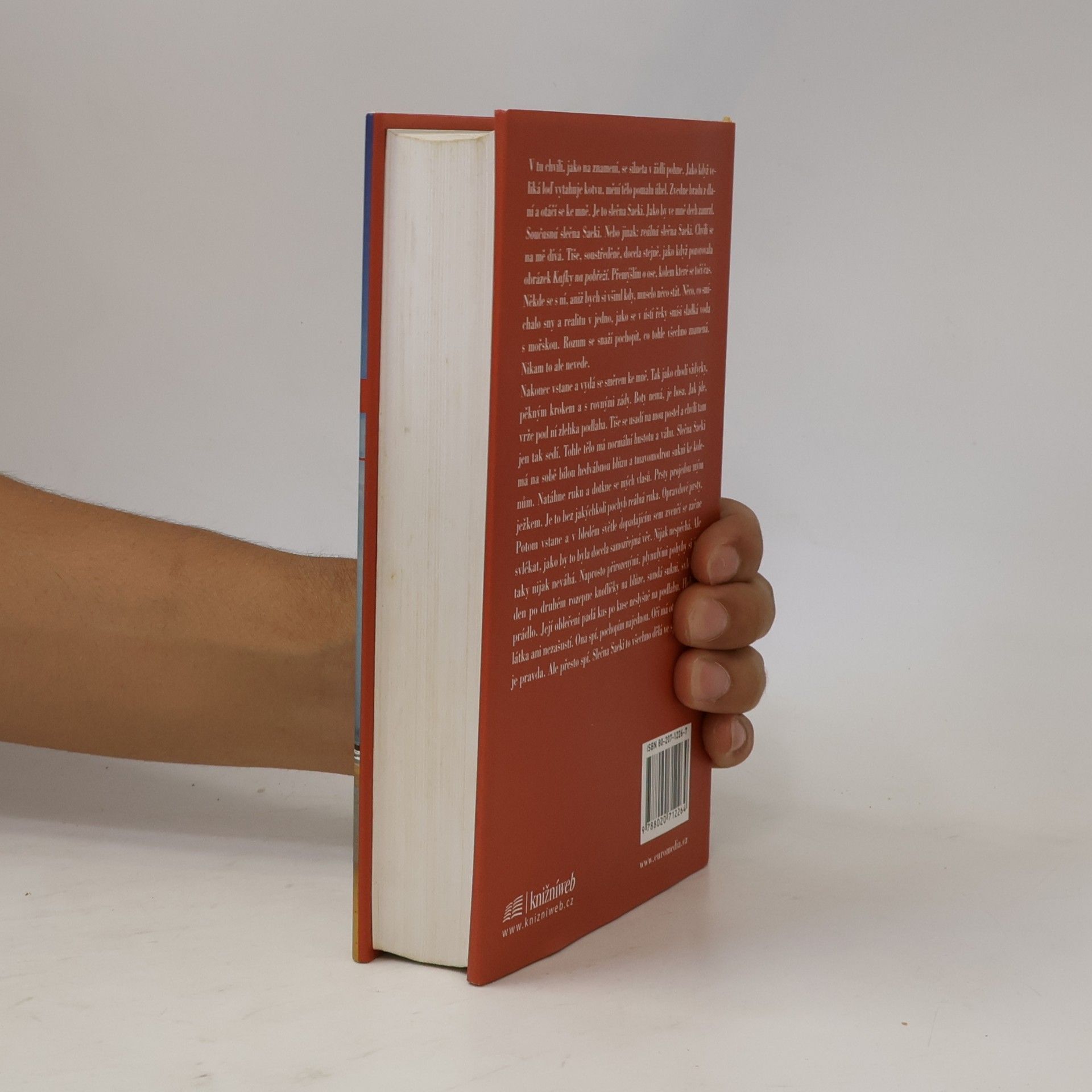Haruki Murakami Kafka na pobřeží