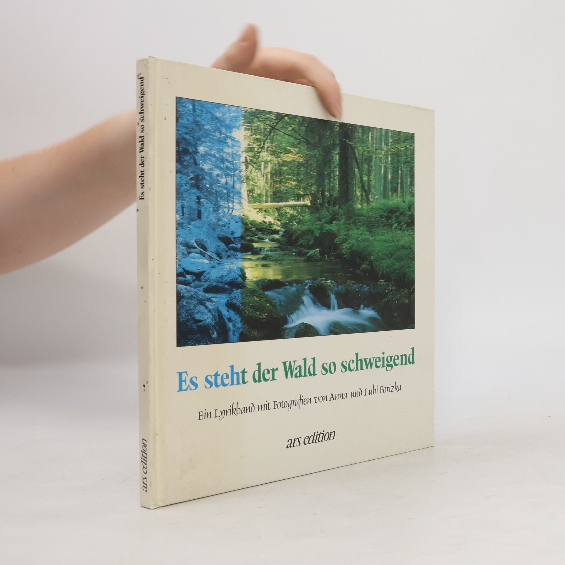 Es steht der Wald so schweigend
