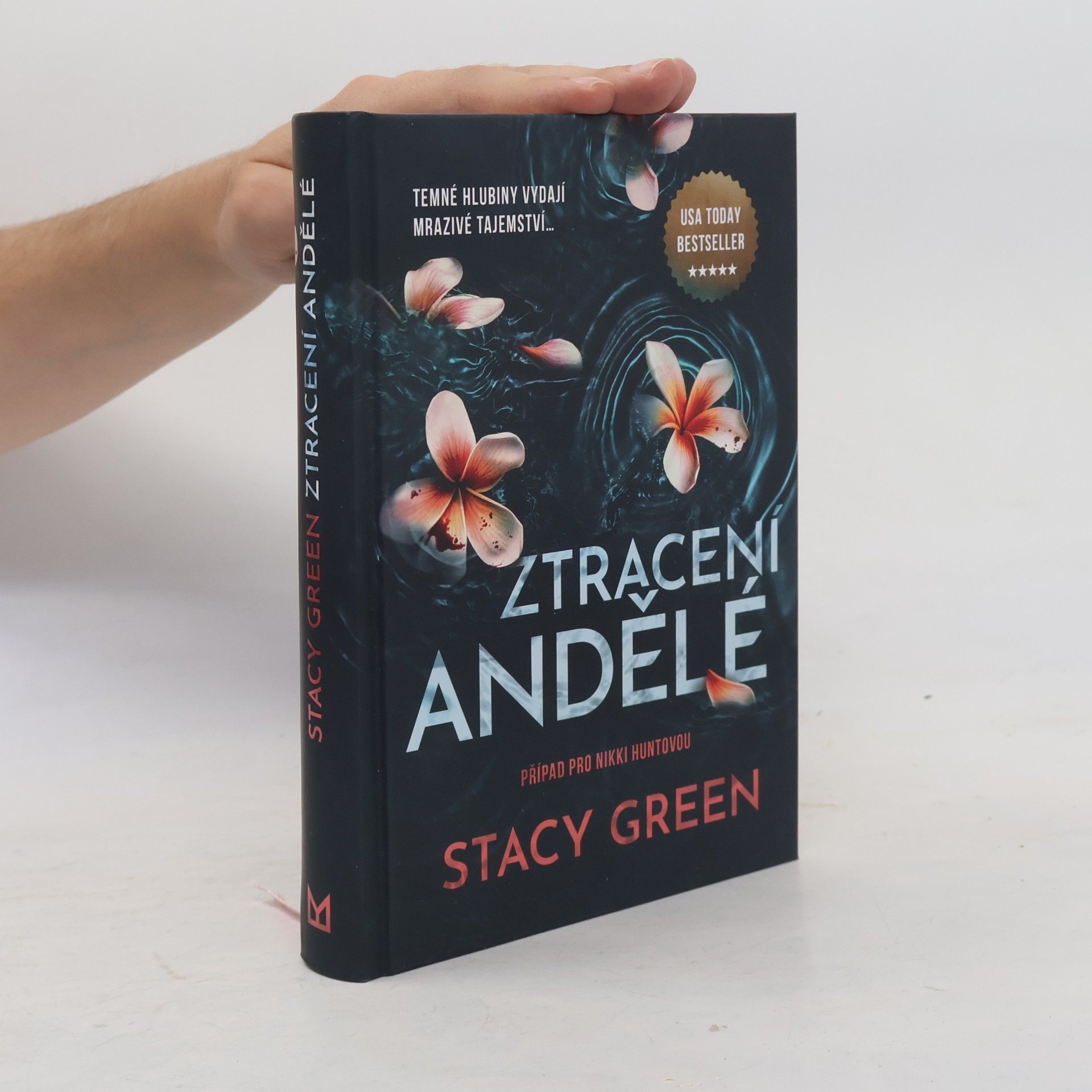 Stacy Green Ztracení andělé