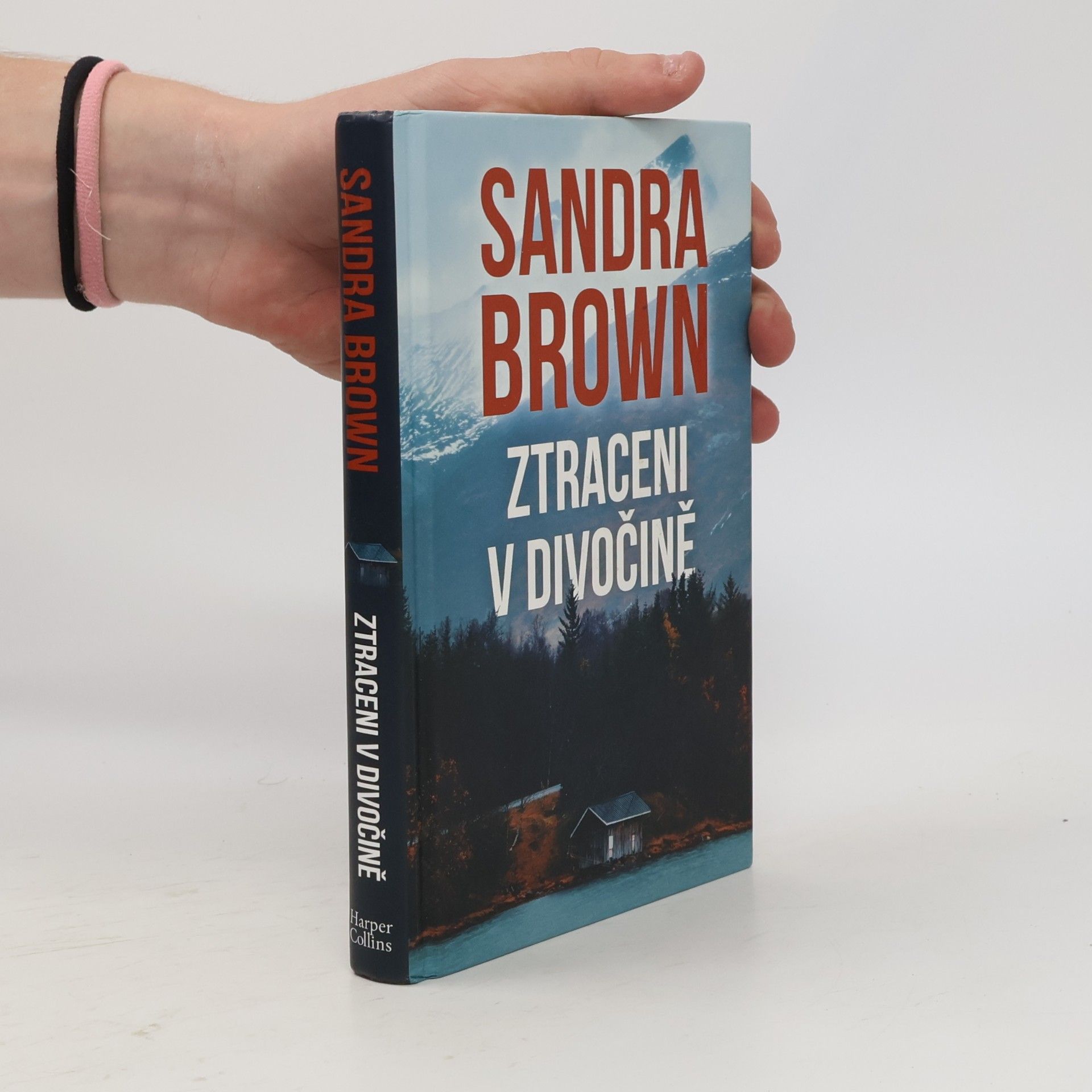 Sandra Brown Ztraceni v divočině