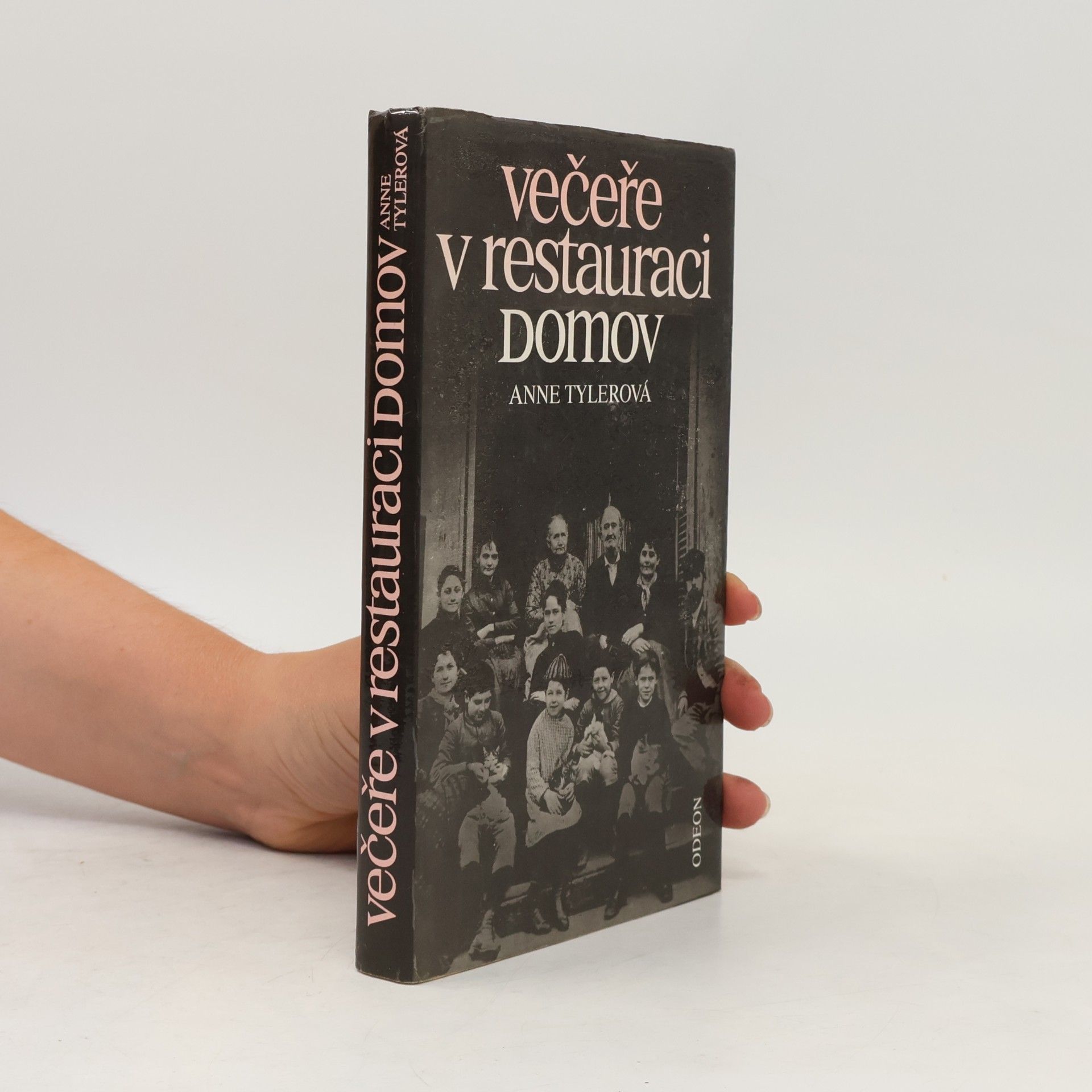 Anne Tyler Večeře v restauraci Domov