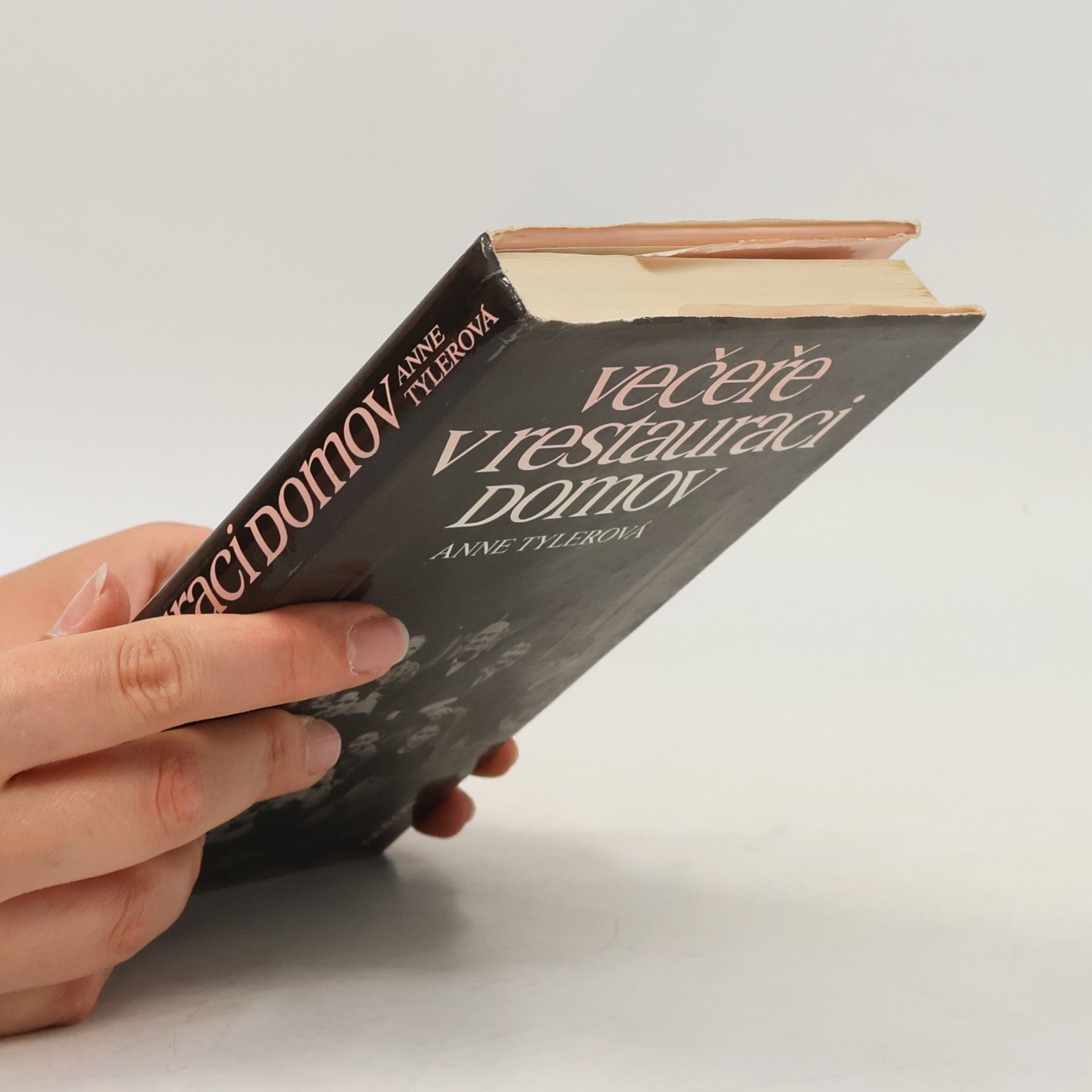 Anne Tyler Večeře v restauraci Domov