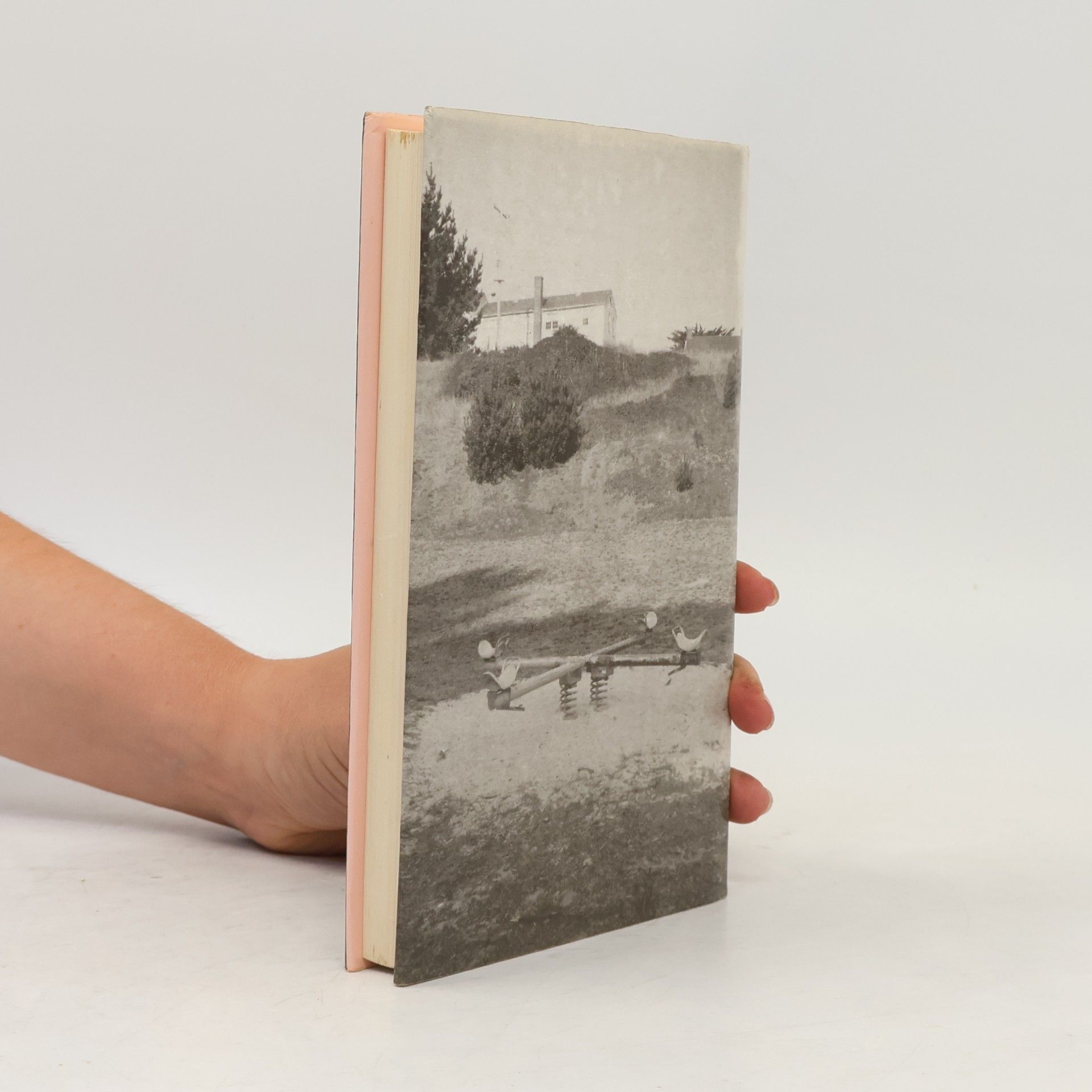 Anne Tyler Večeře v restauraci Domov