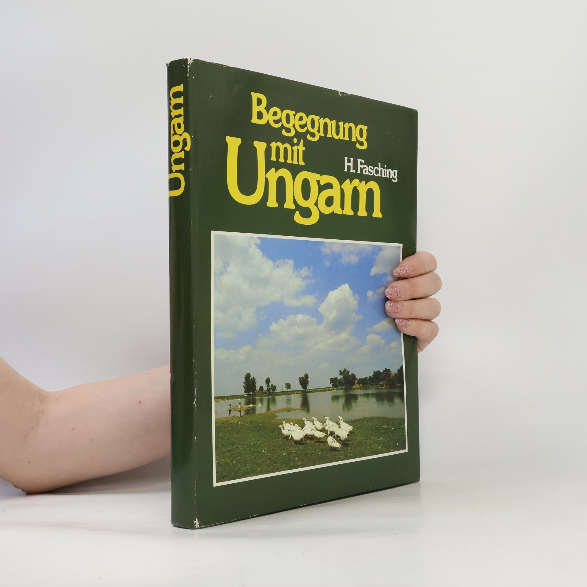 Herbert Fasching Begegnung mit Ungarn