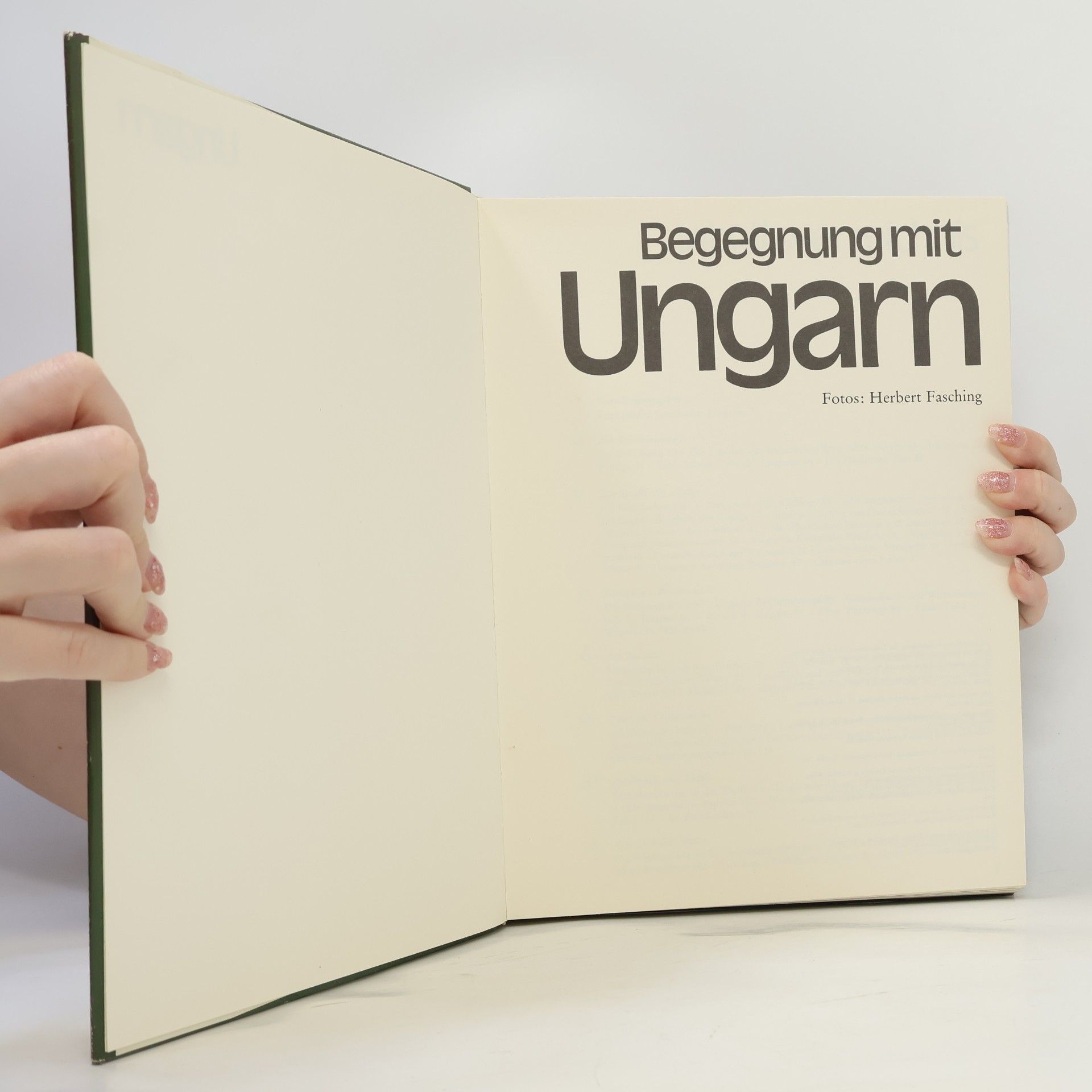 Herbert Fasching Begegnung mit Ungarn