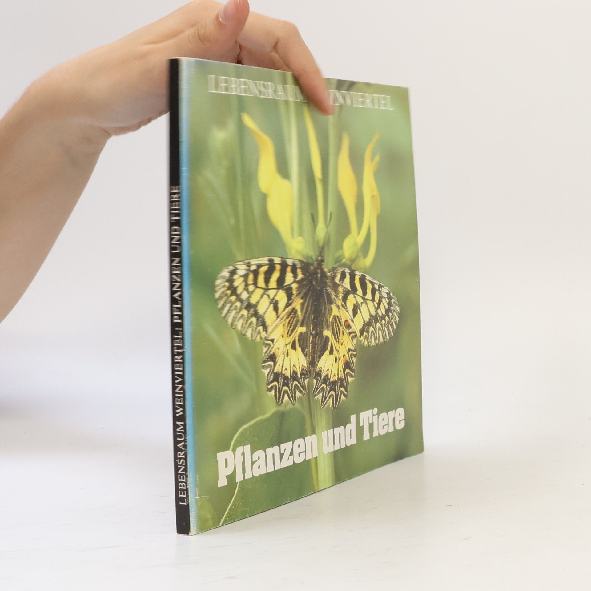 Autorenkollektiv Pflanzen und Tiere: Lebensraum weinviertel