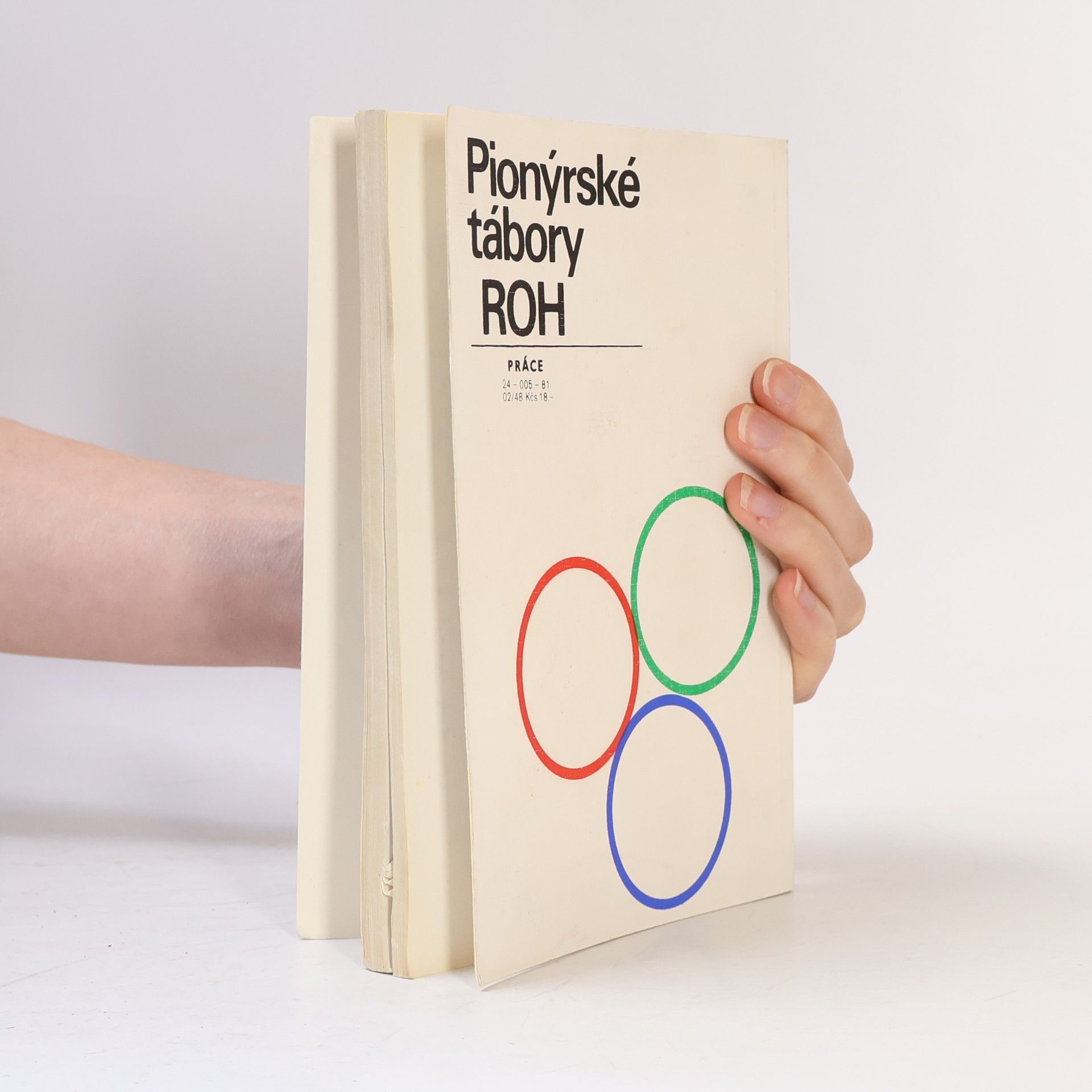Various authors Pionýrské tábory ROH 3. Tábor v dešti