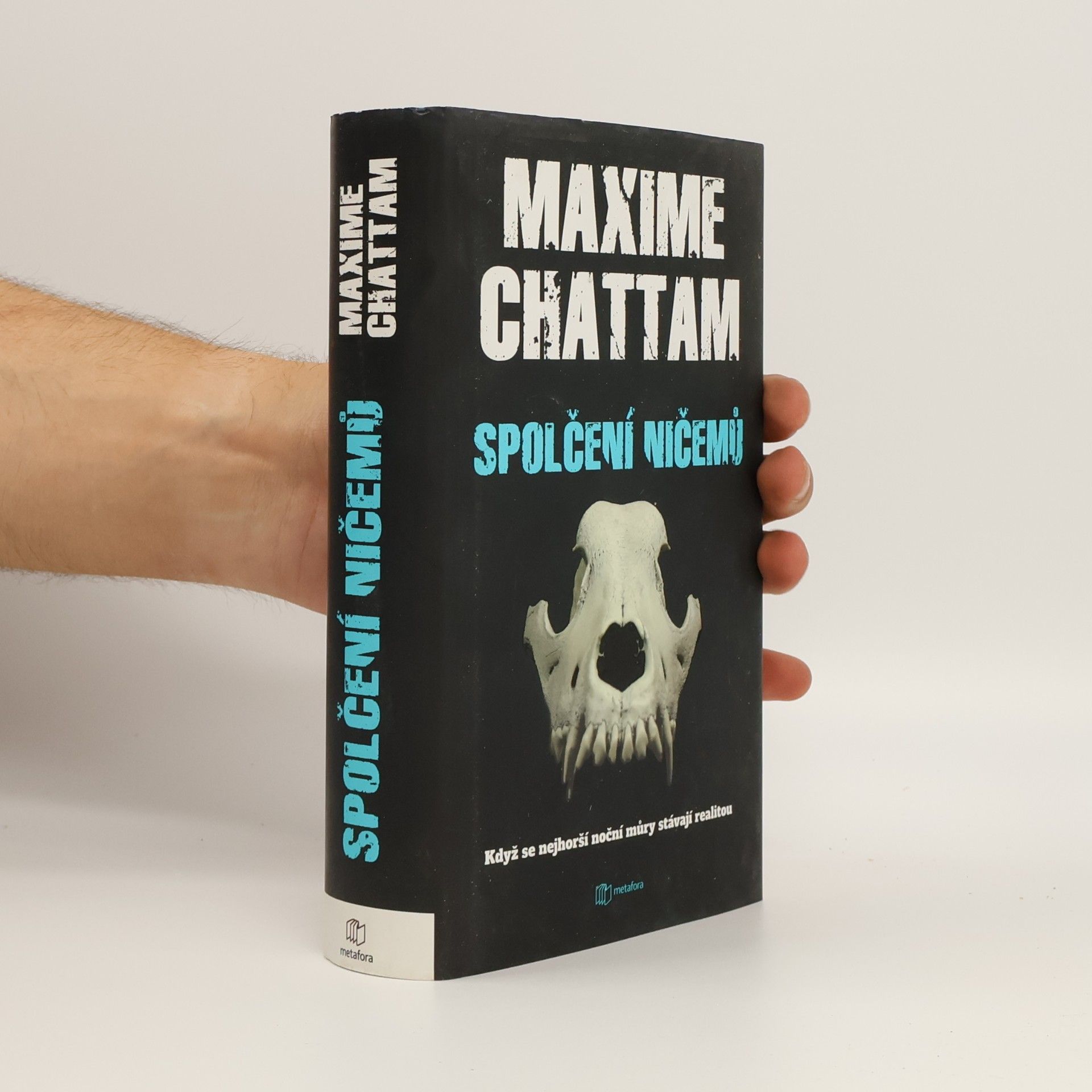 Maxime Chattam Spolčení ničemů