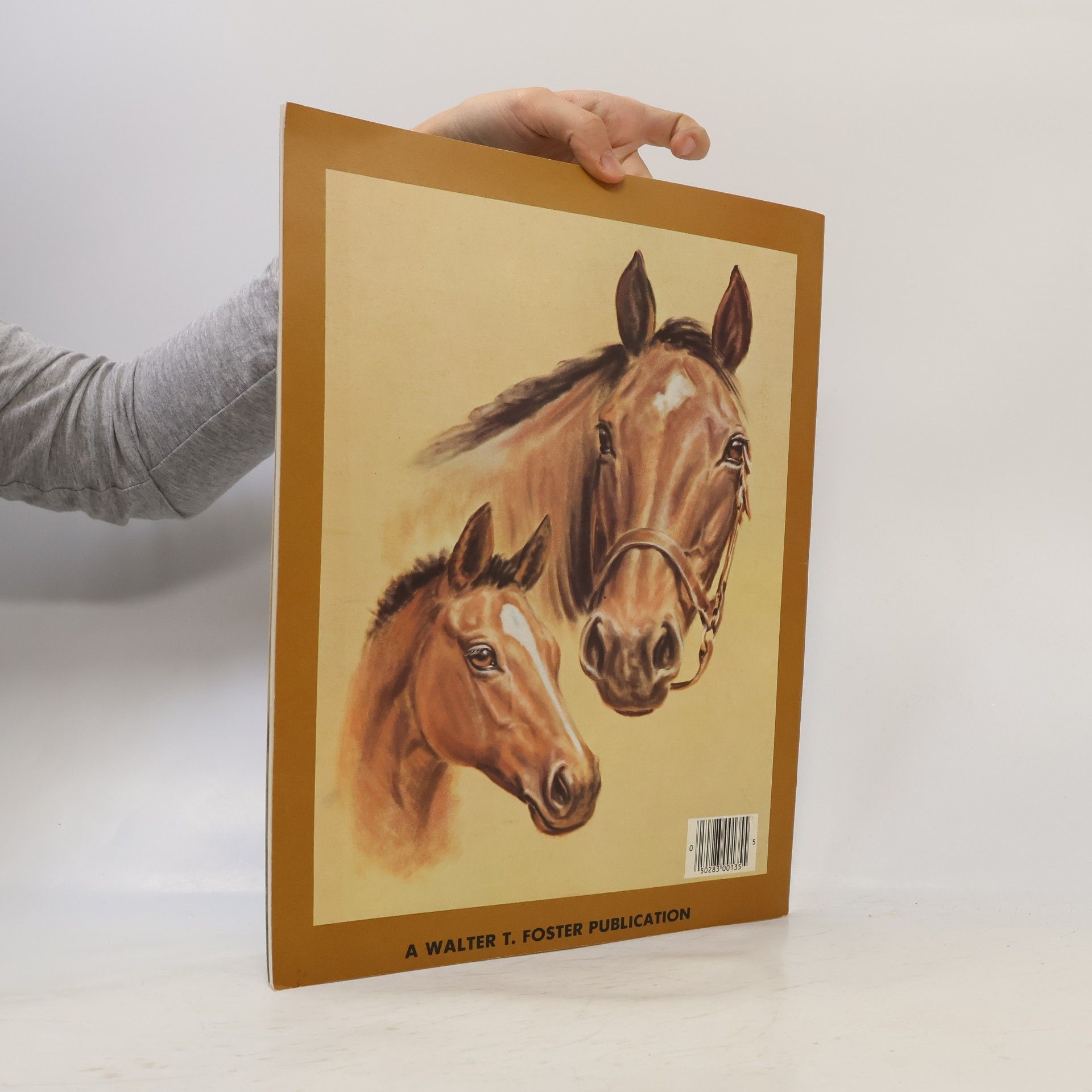 Donald A. Schwartz Horses' Heads in Oils and Pastels