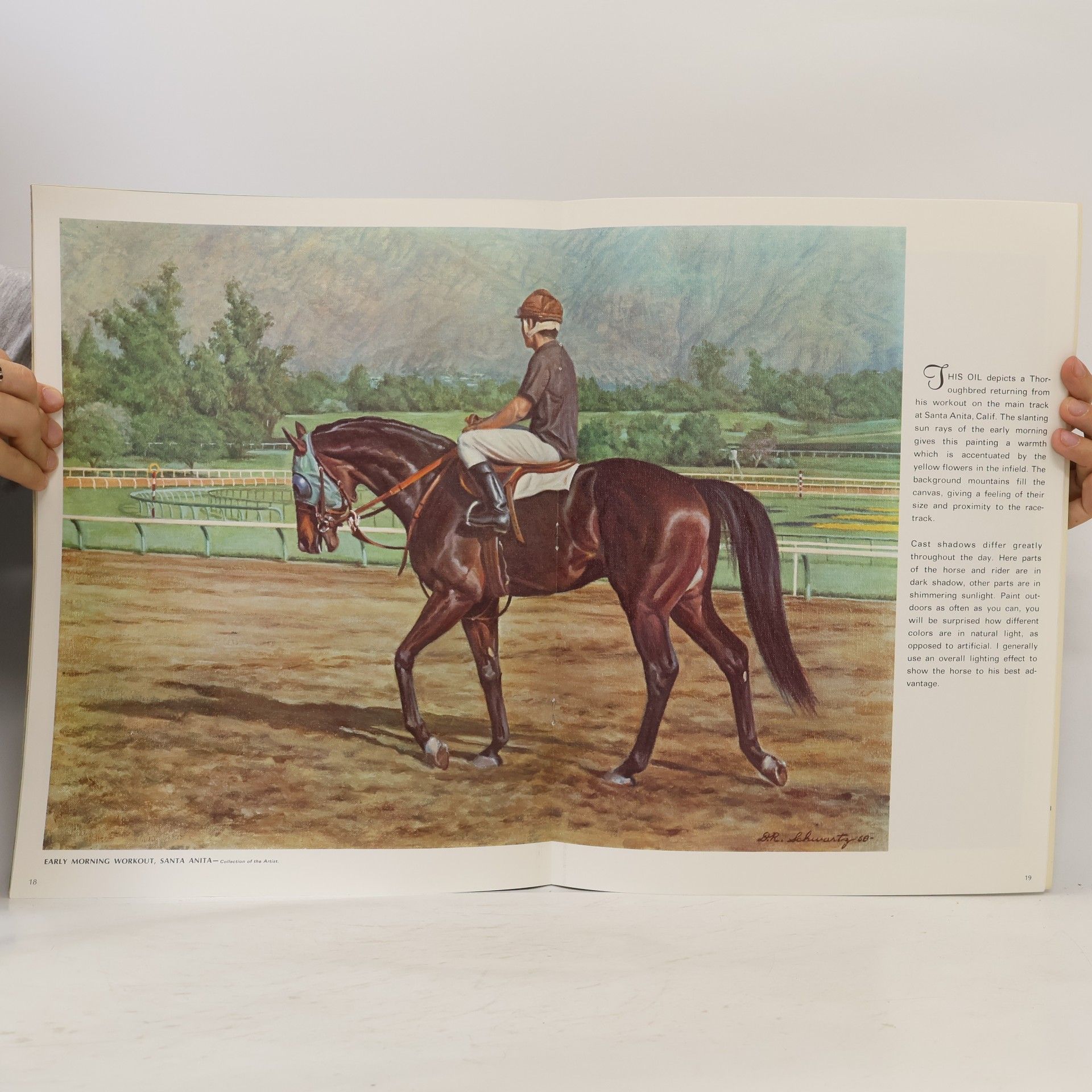 Donald A. Schwartz Horses' Heads in Oils and Pastels