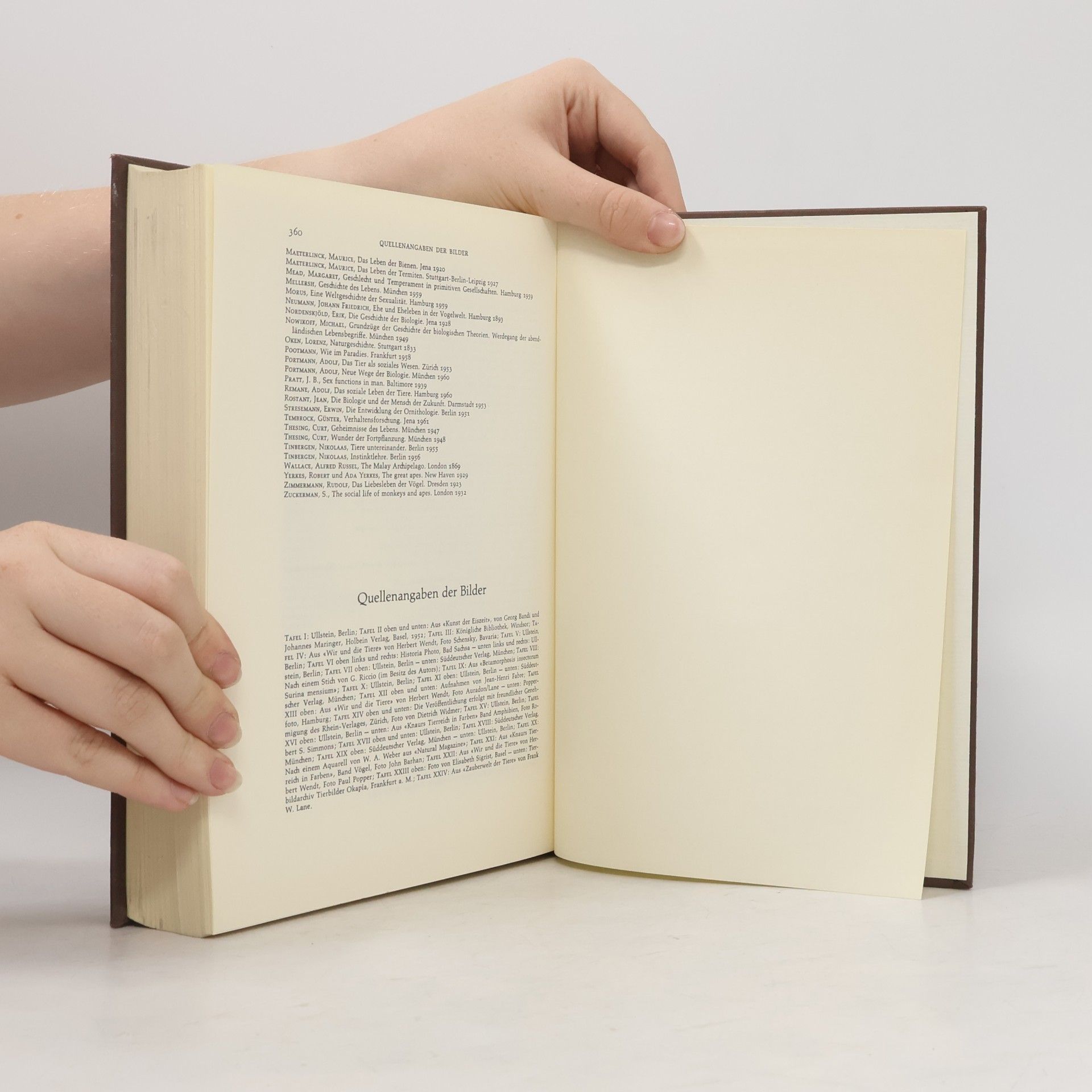 Herbert Wendt Das Liebesleben in der Tierwelt
