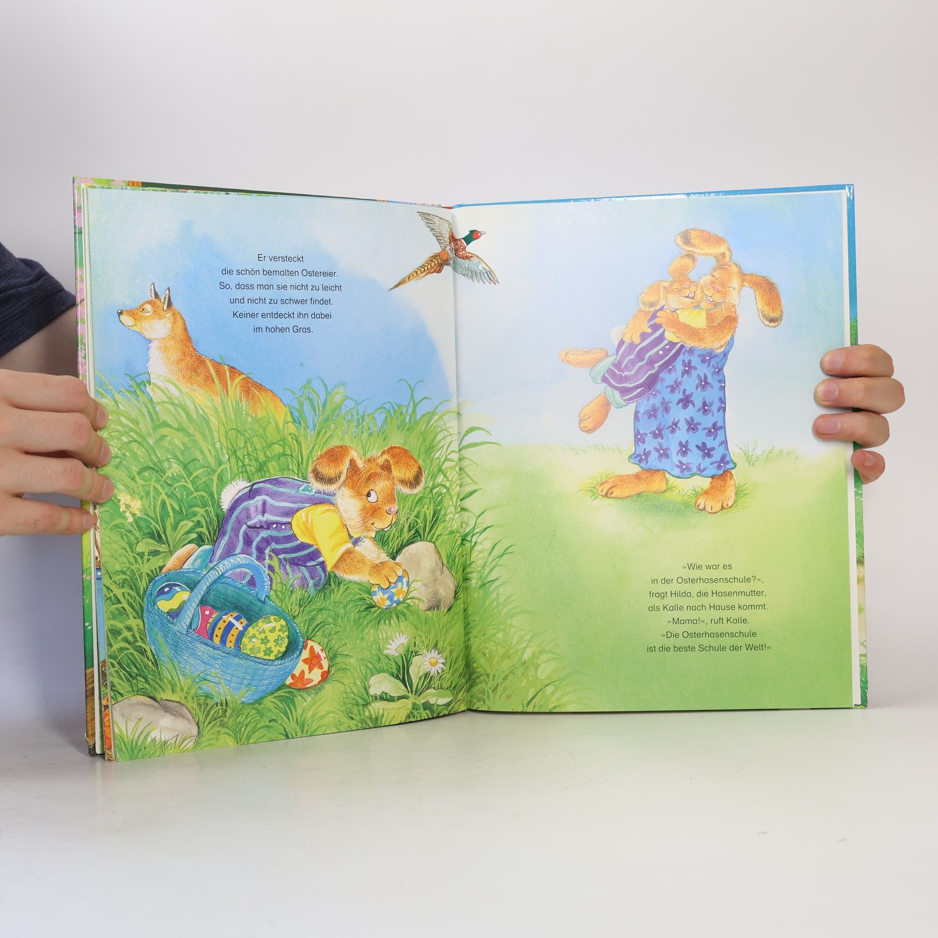 Sarah Bosse/Ute Thönissen Die Osterhasenschule