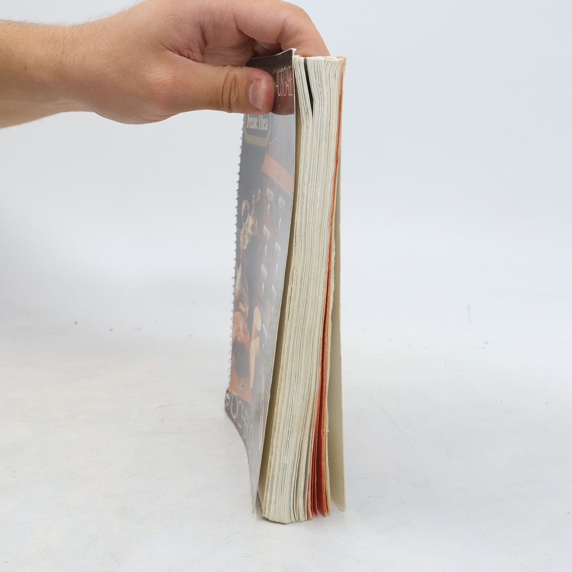 Autorenkollektiv Jubiläumsausgabe. Feine Thea Kochbuch Nr. 4
