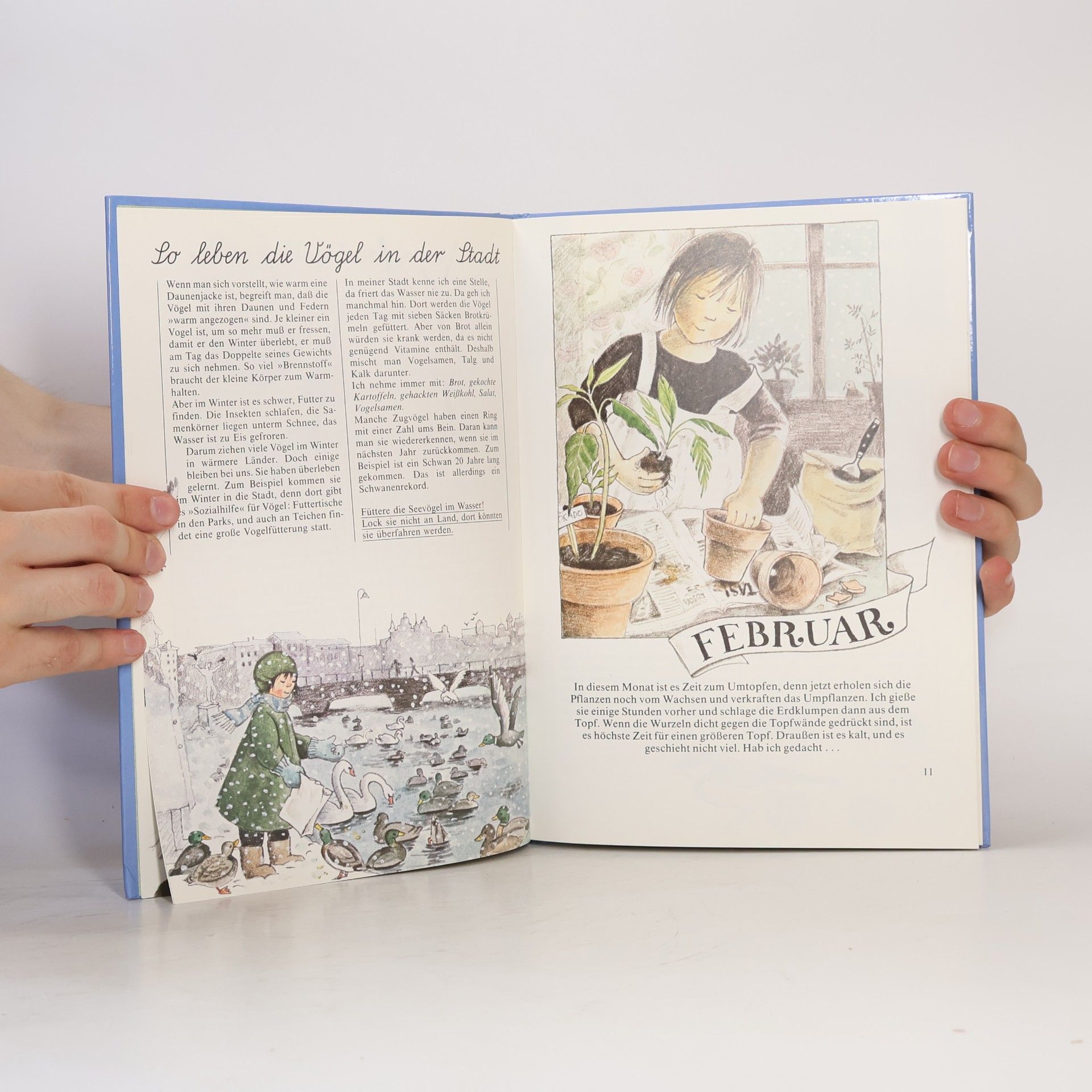 Christina Björk Linnéas Jahrbuch