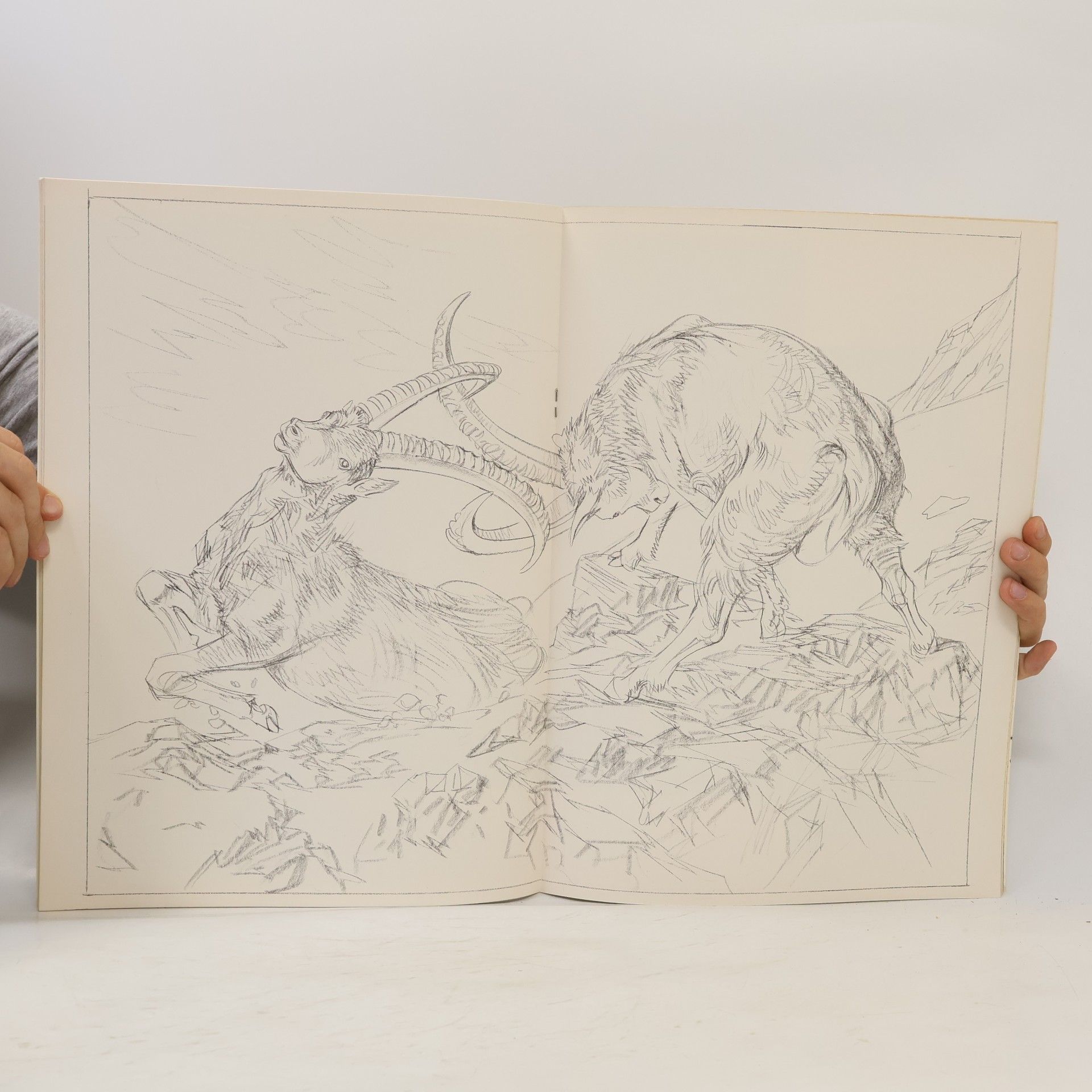 Autorenkollektiv Sammlung Leonardo 13. Tiere: Malen macht Freude