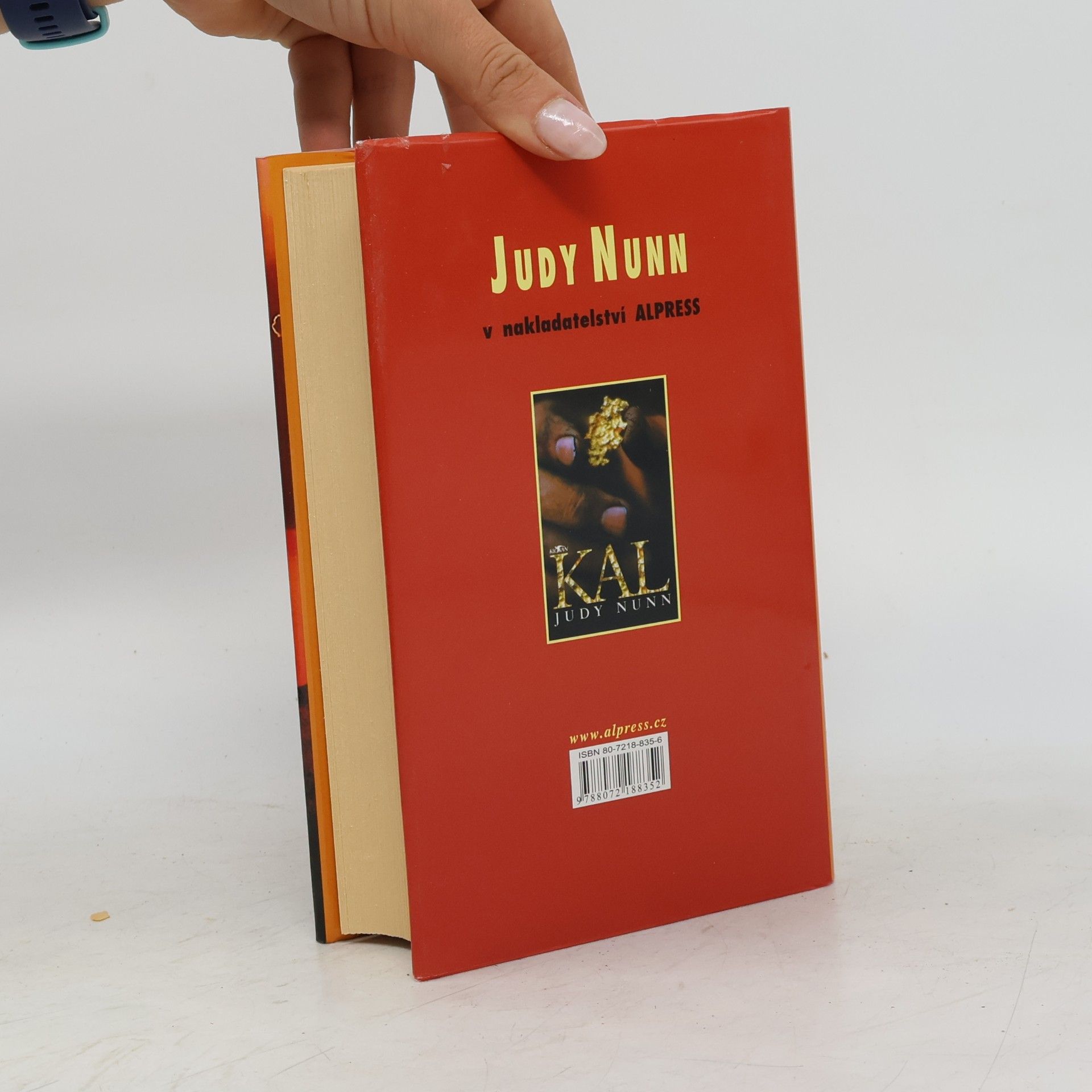 Judy Nunn Pod Jižním křížem