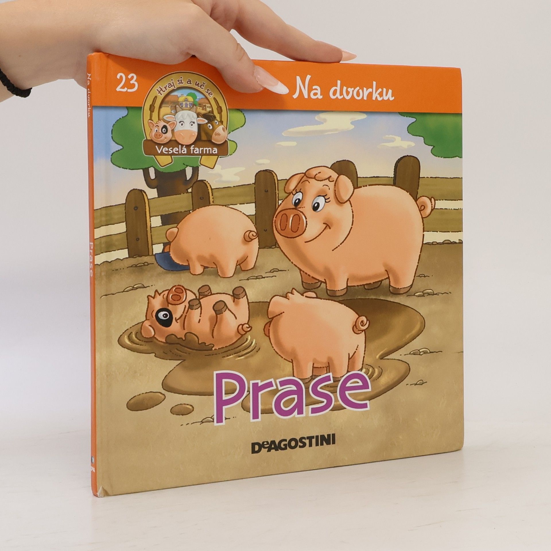 Autorenkollektiv Na dvorku 23. Prase