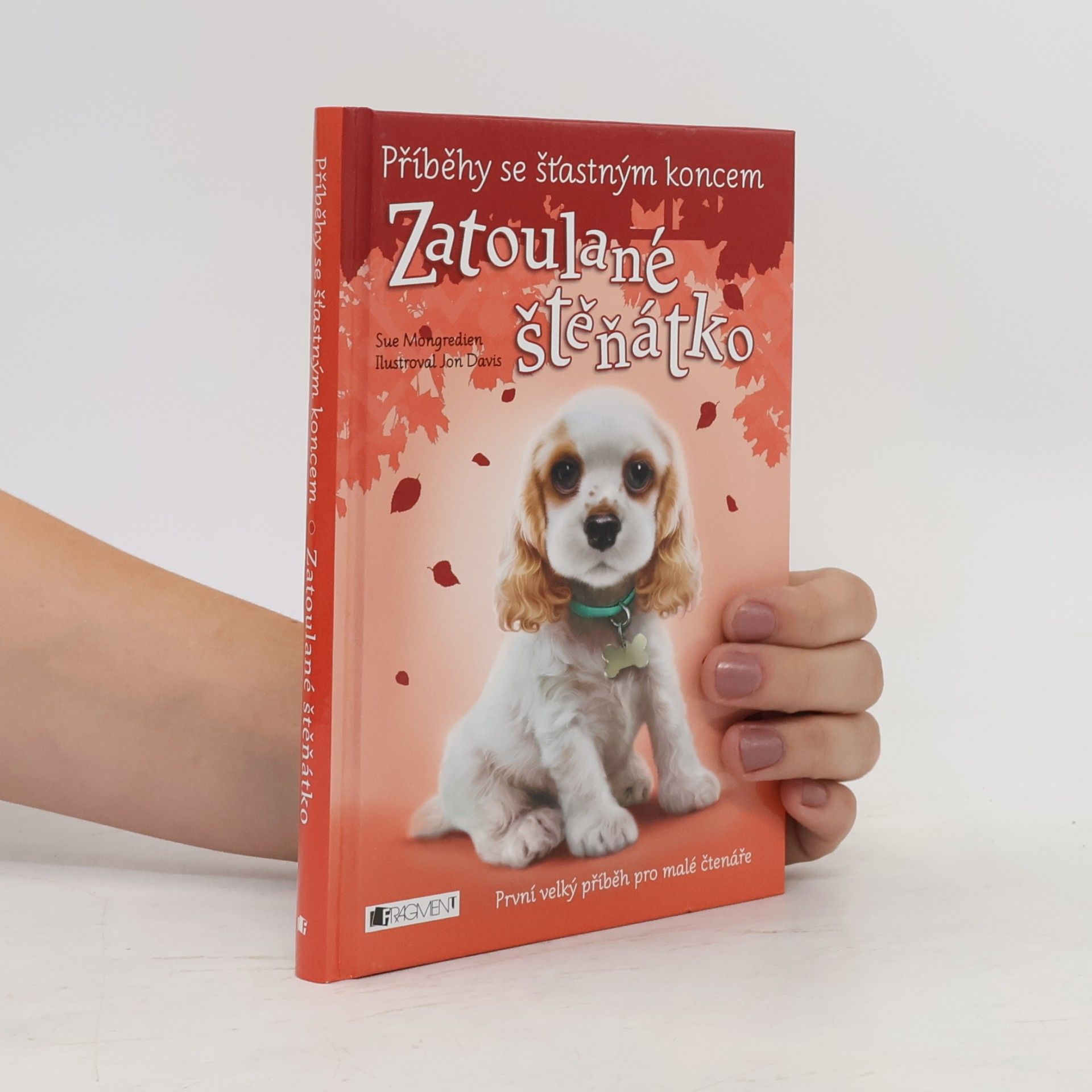 Zatoulané štěňátko