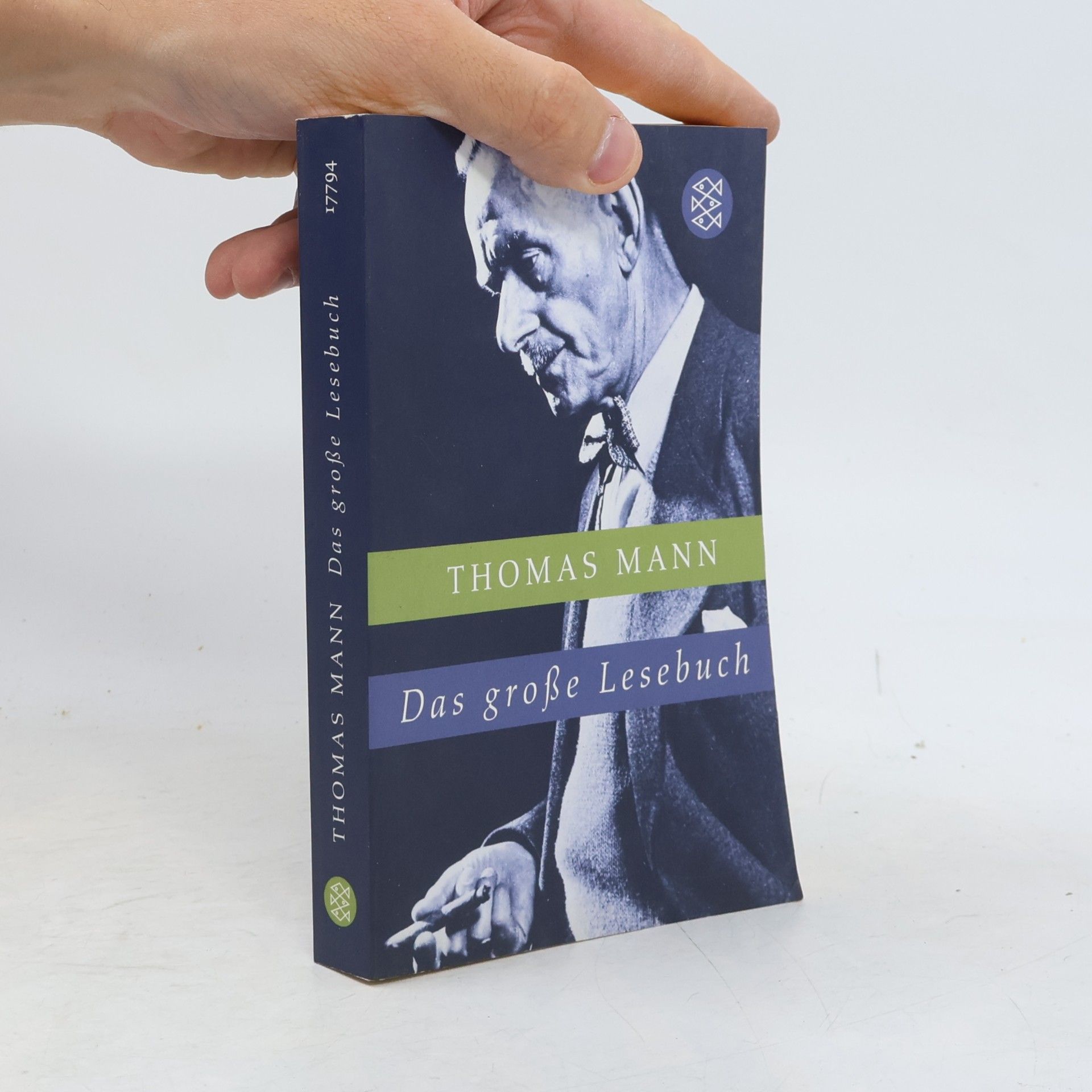 Thomas Mann Das große Lesebuch
