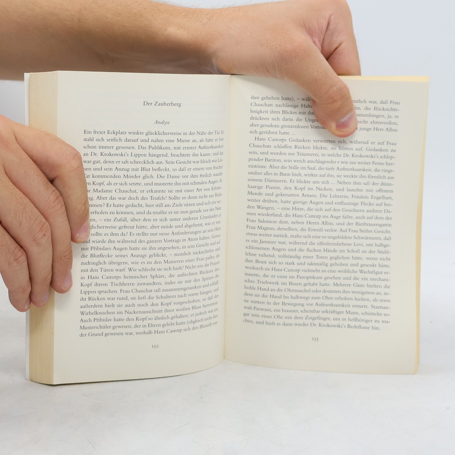 Thomas Mann Das große Lesebuch