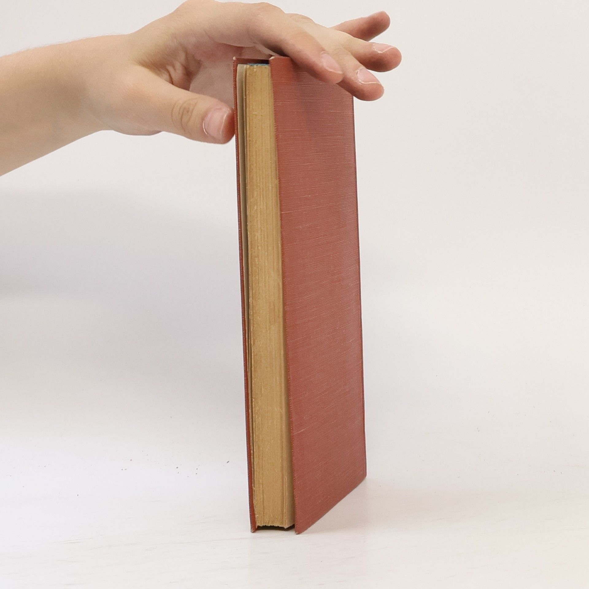 Edmund Kalt Biblische Archäologie