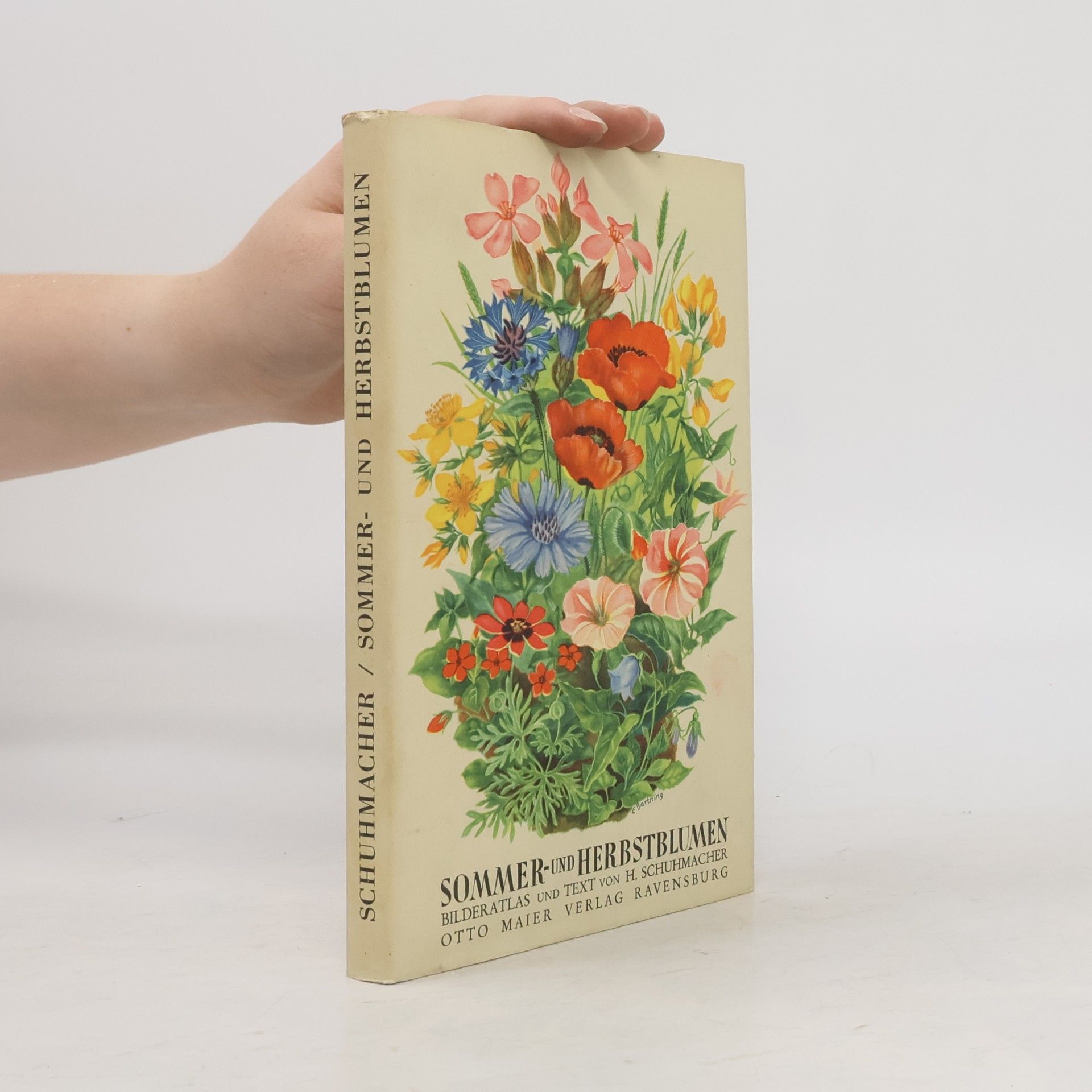 Hermann Schuhmacher Sommer- und Herbstblumen