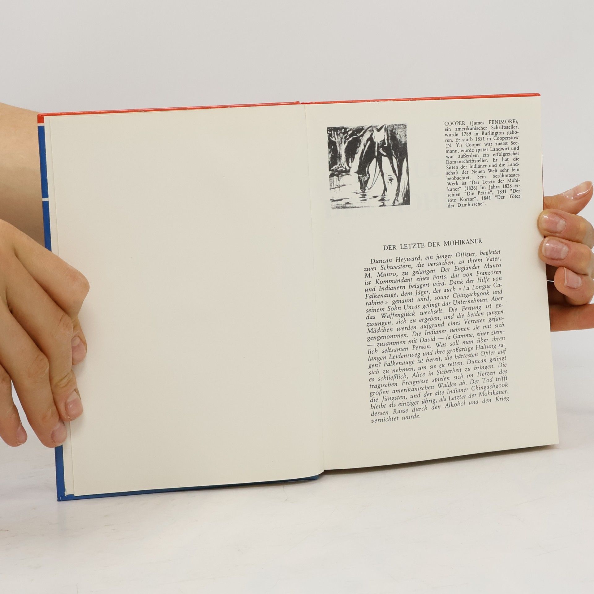 James Fenimore Cooper Der letzte der Mohikaner