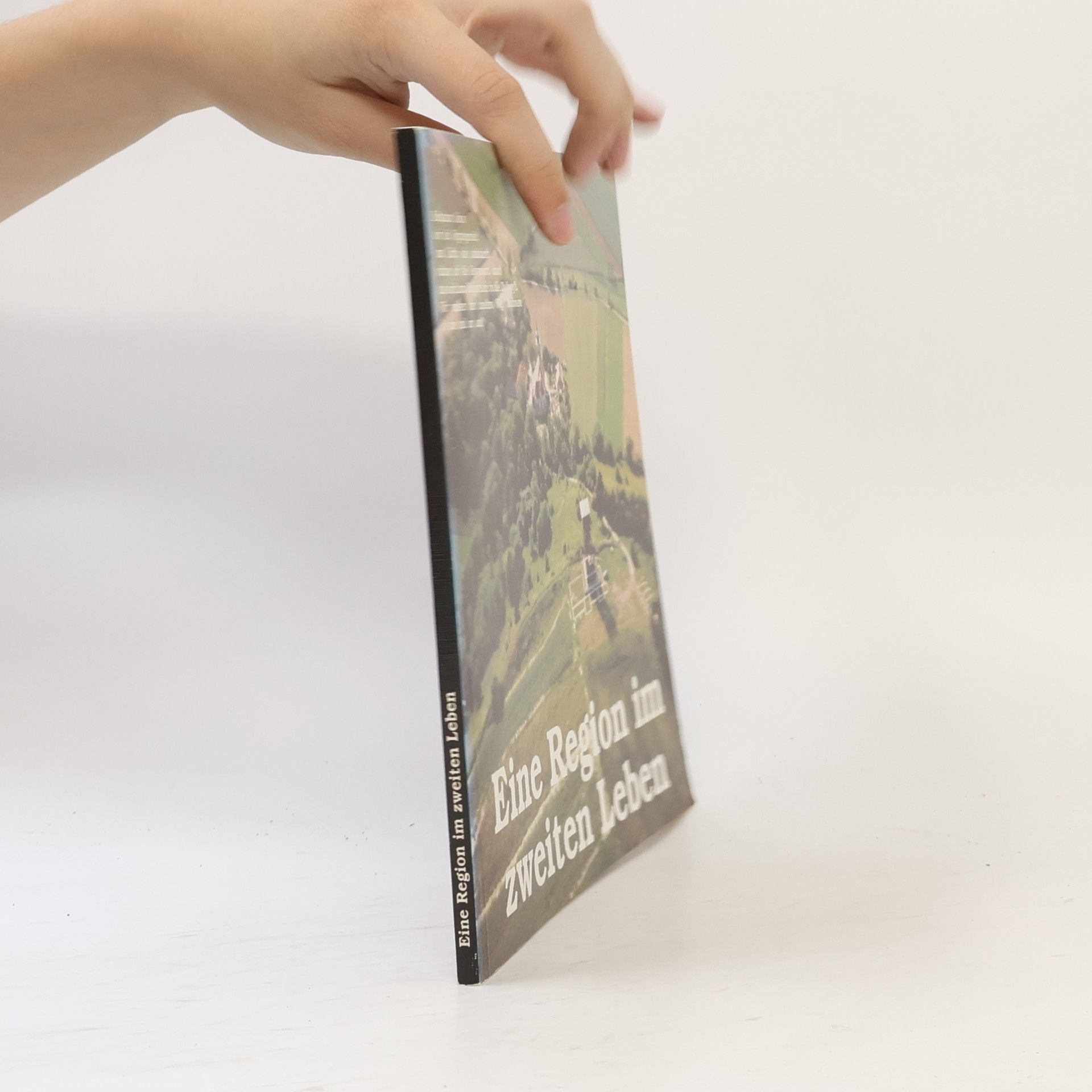 Various authors Eine Region im zweiten Leben
