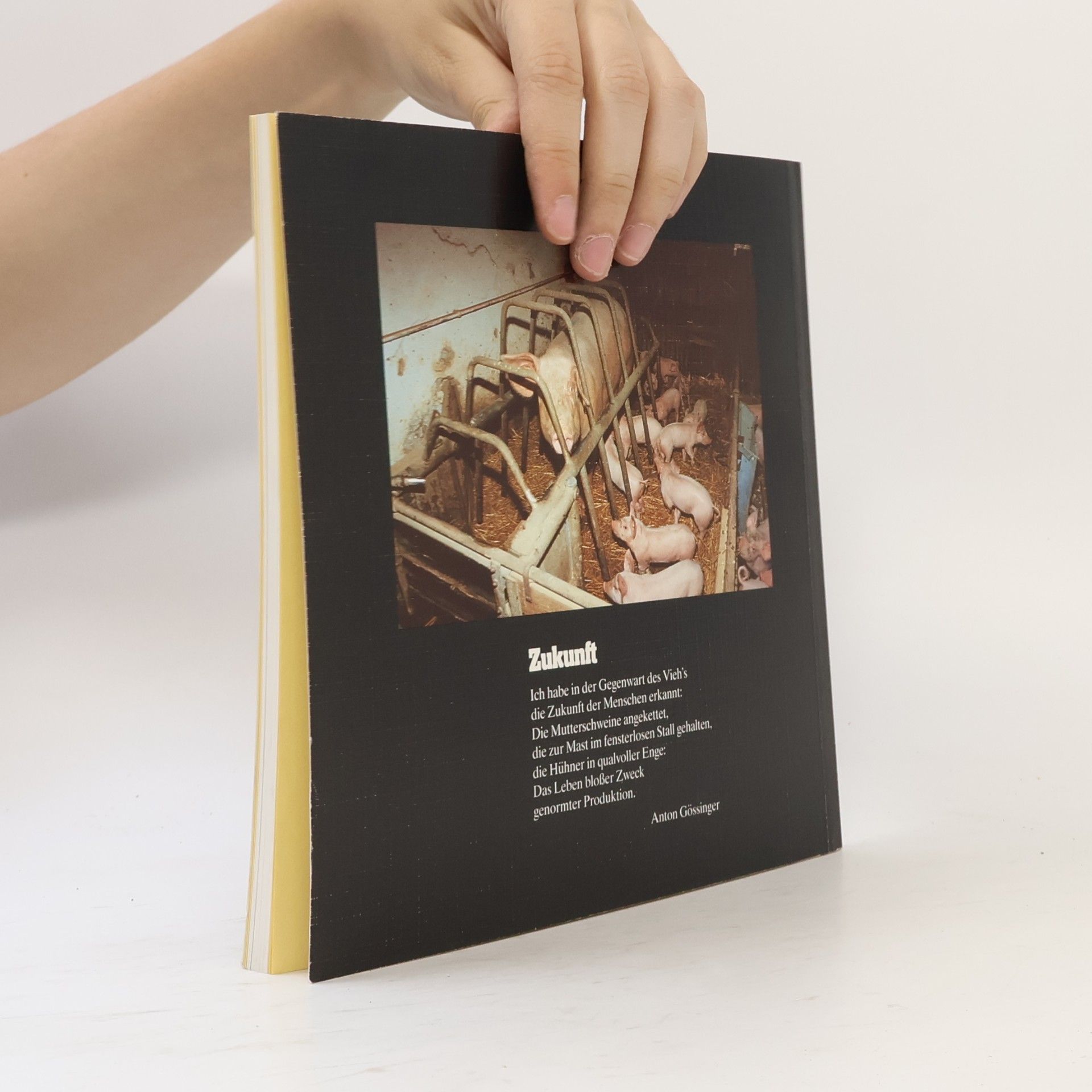 Various authors Eine Region im zweiten Leben
