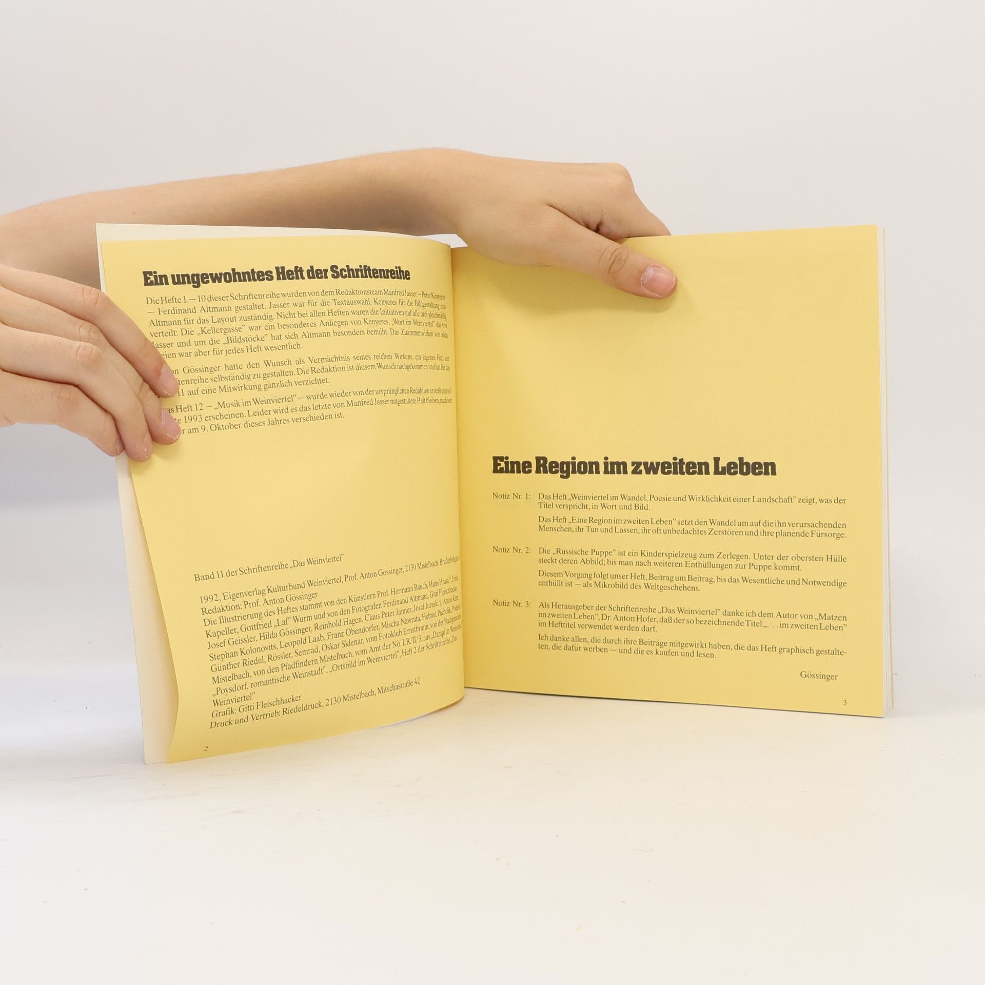 Various authors Eine Region im zweiten Leben