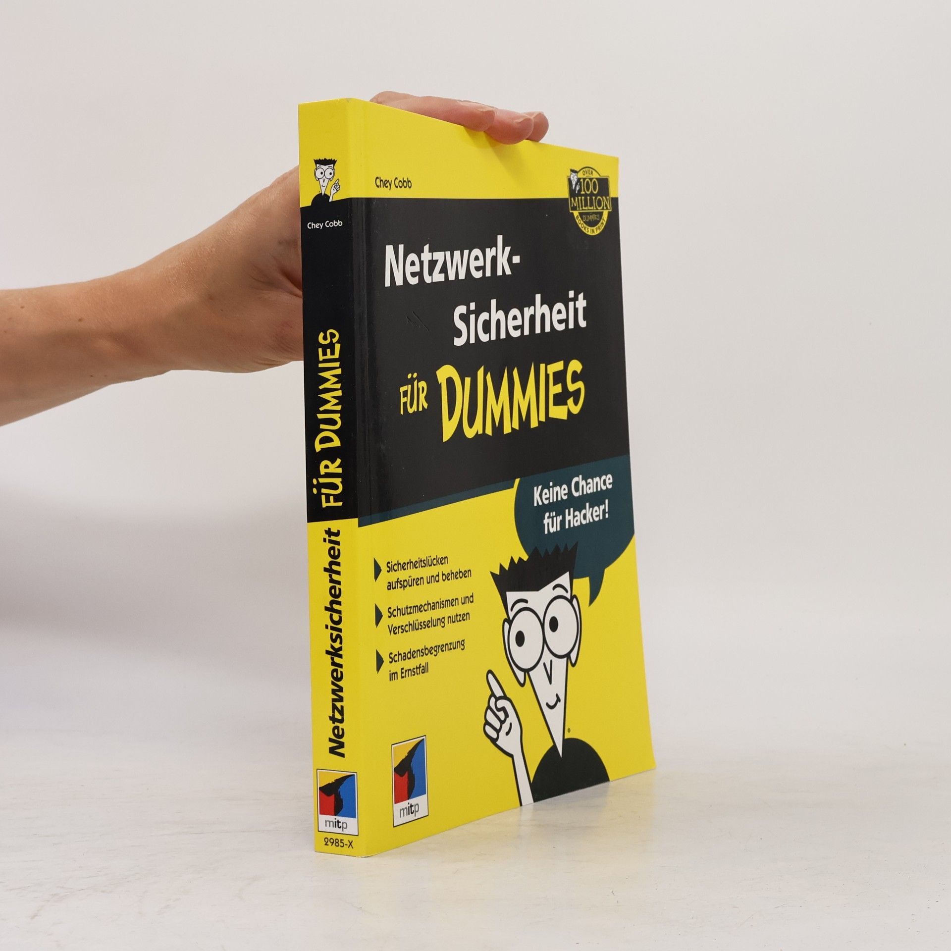 Chey Cobb Netzwerksicherheit für Dummies