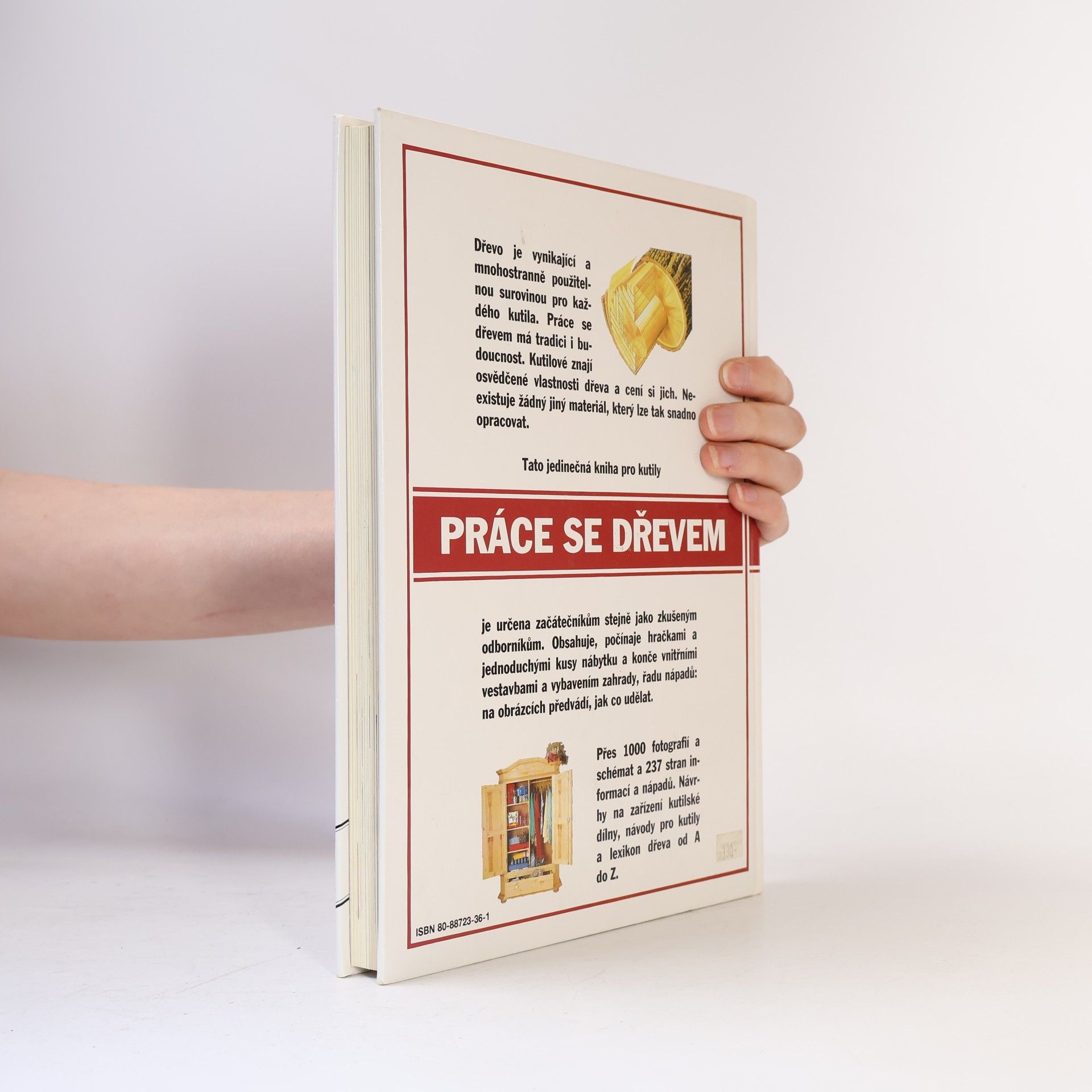 Auteurscollectief Práce se dřevem