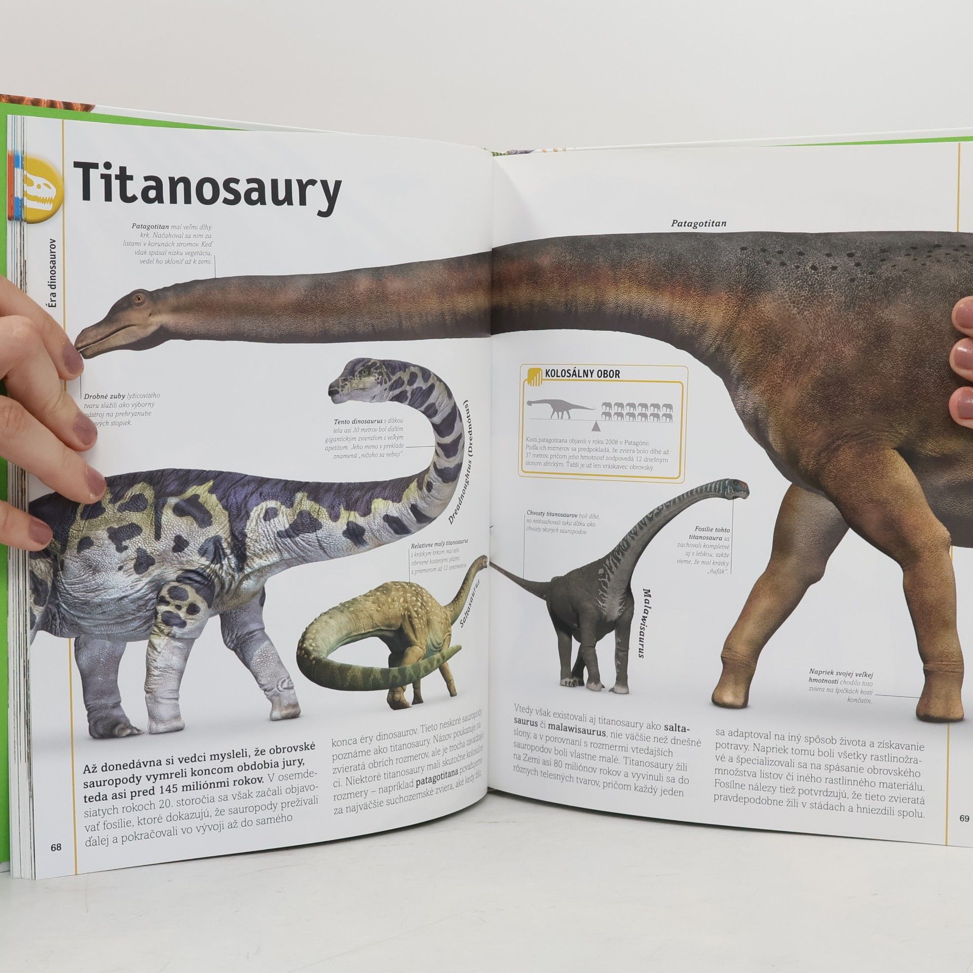 John Woodward Dinosaury a iné praveké živočíchy
