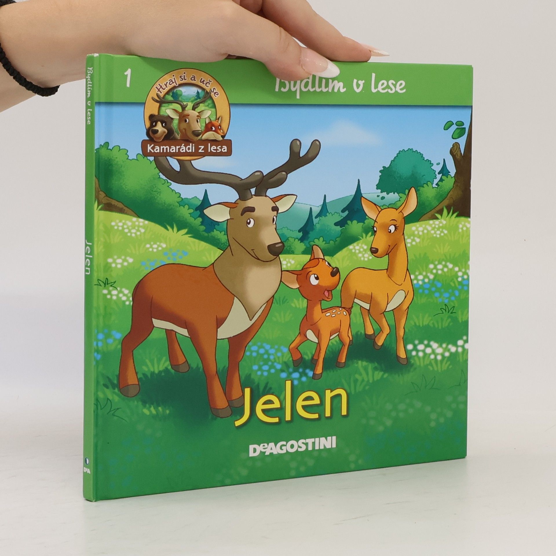 Autorenkollektiv Bydlím v lese - jelen