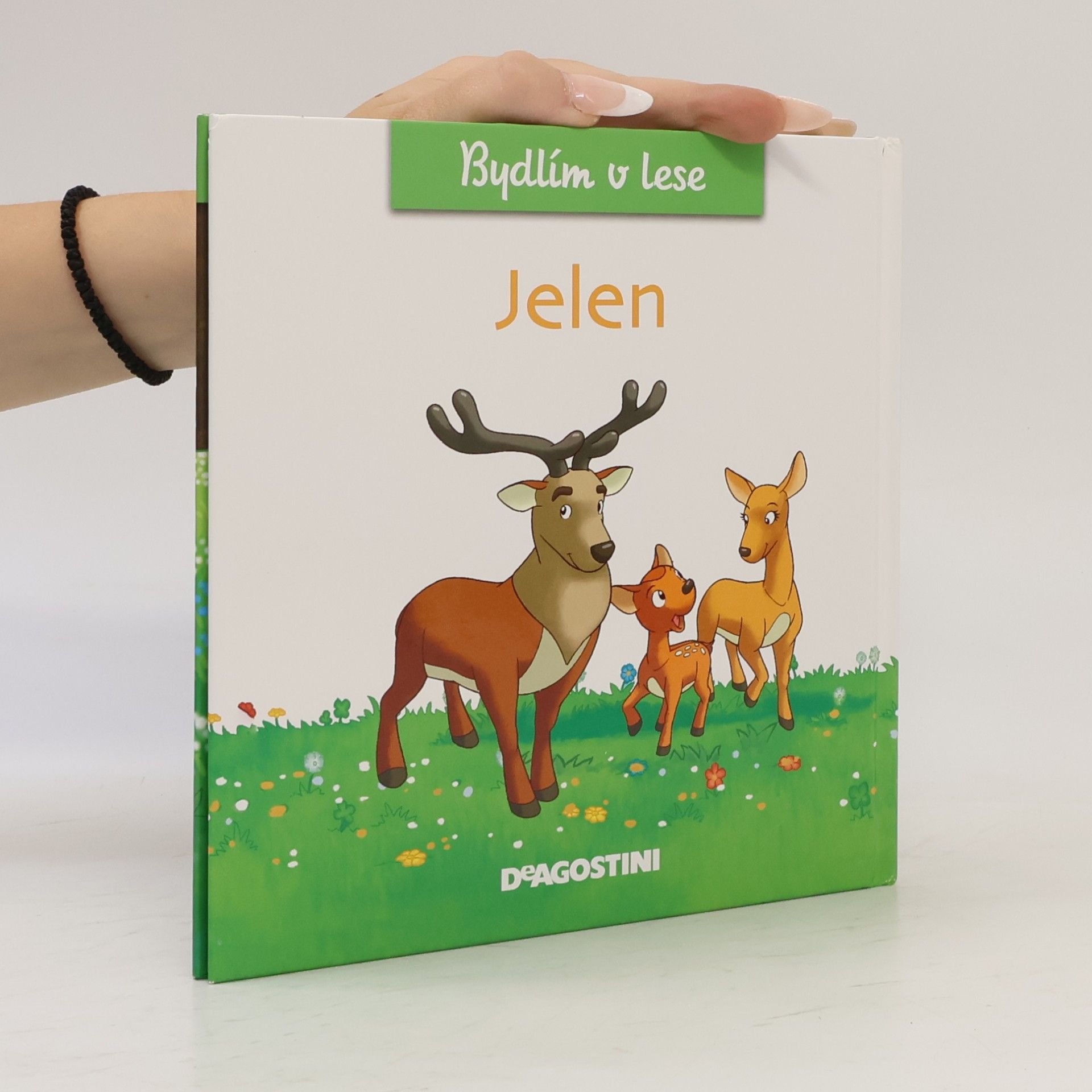 Autorenkollektiv Bydlím v lese - jelen