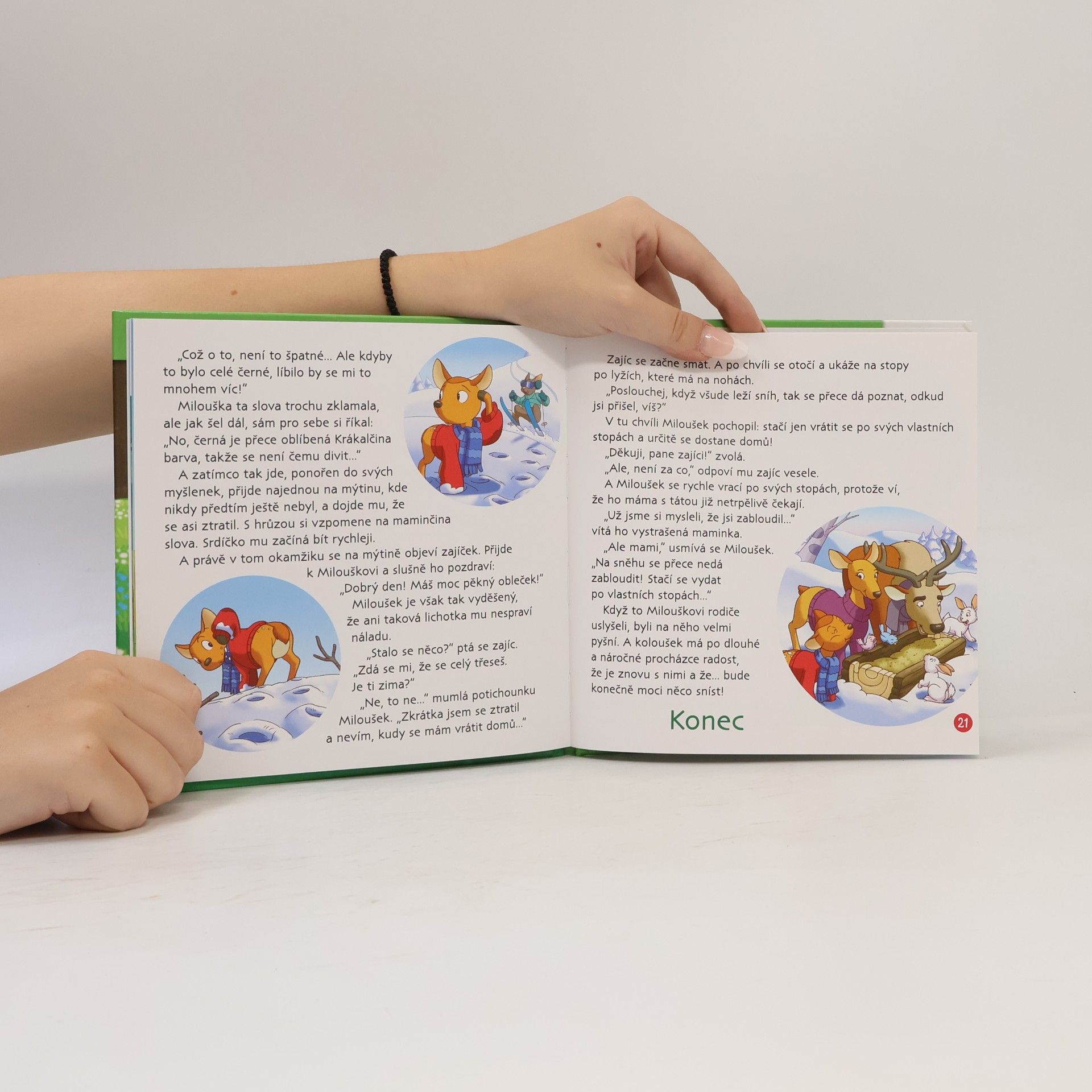 Autorenkollektiv Bydlím v lese - jelen