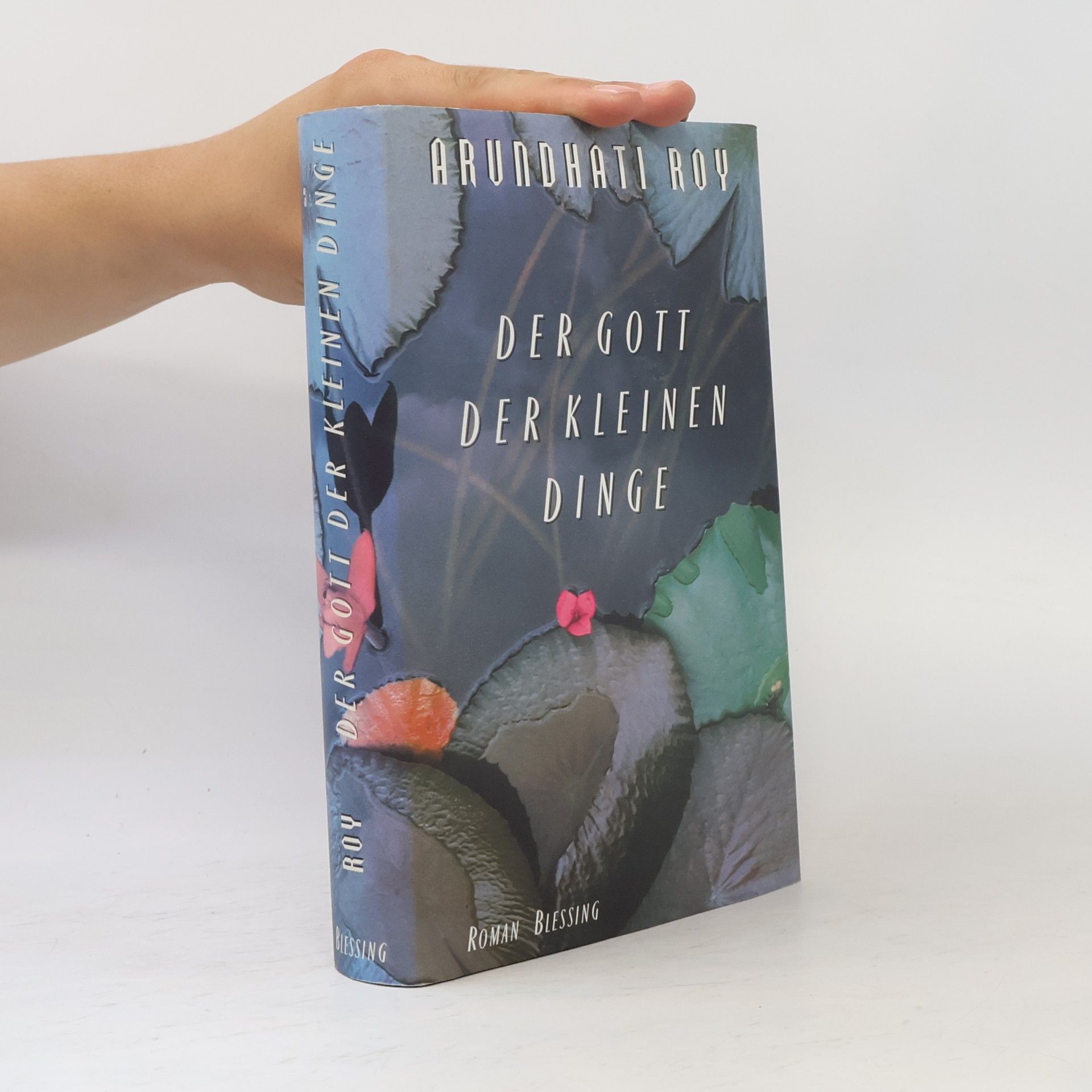 Arundhati Roy Der Gott der Kleinen Dinge
