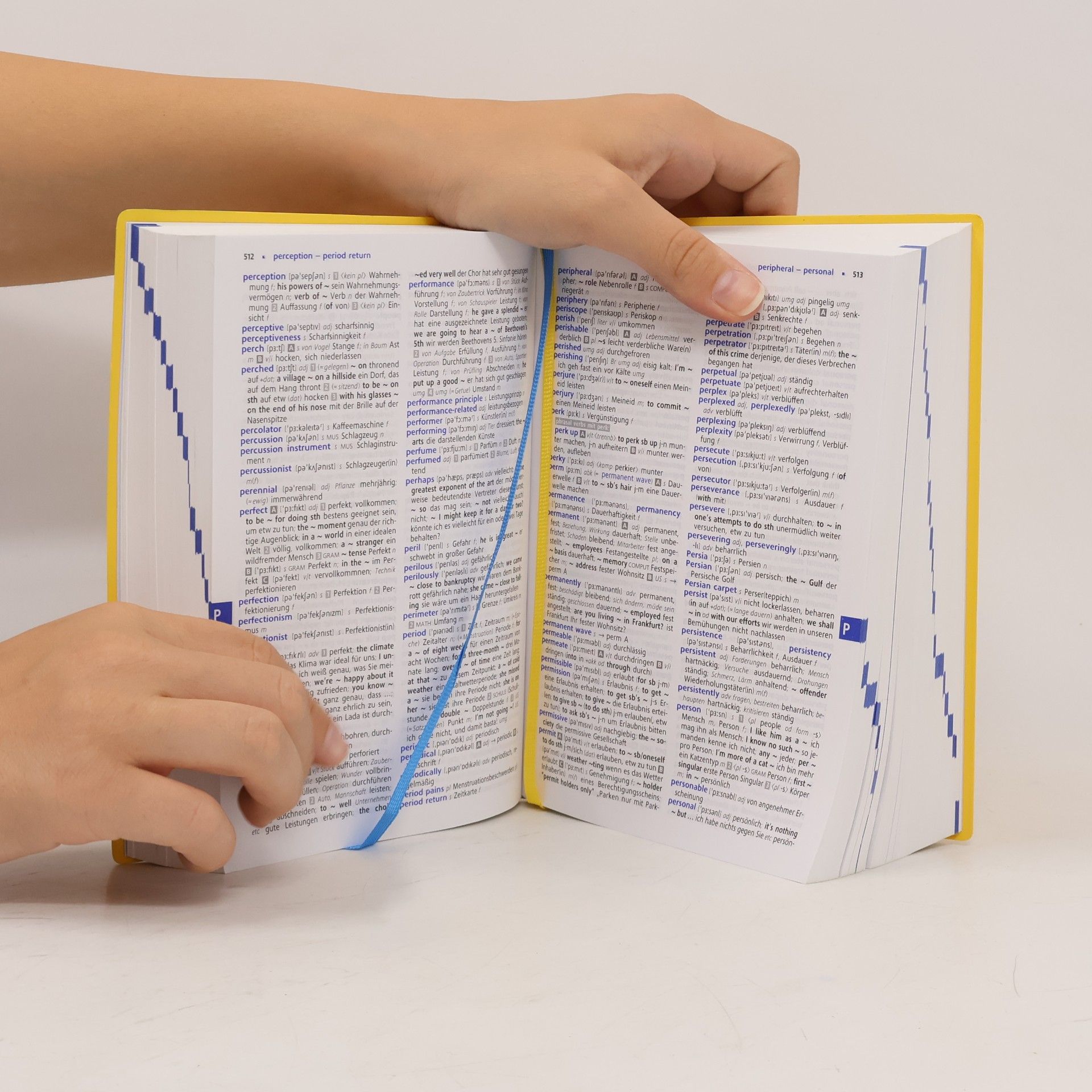Heike Pleisteiner Langenscheidt, Matura-Wörterbuch Englisch
