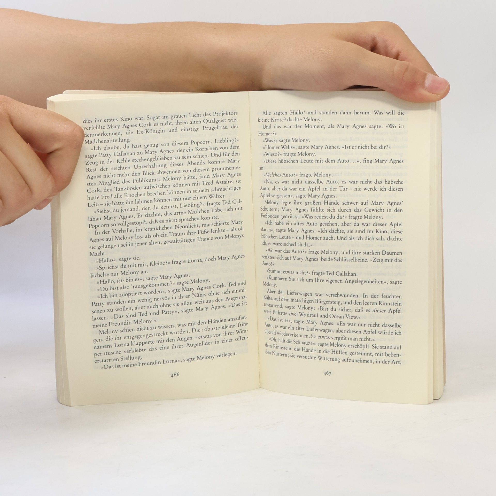 John Irving Gottes Werk und Teufels Beitrag
