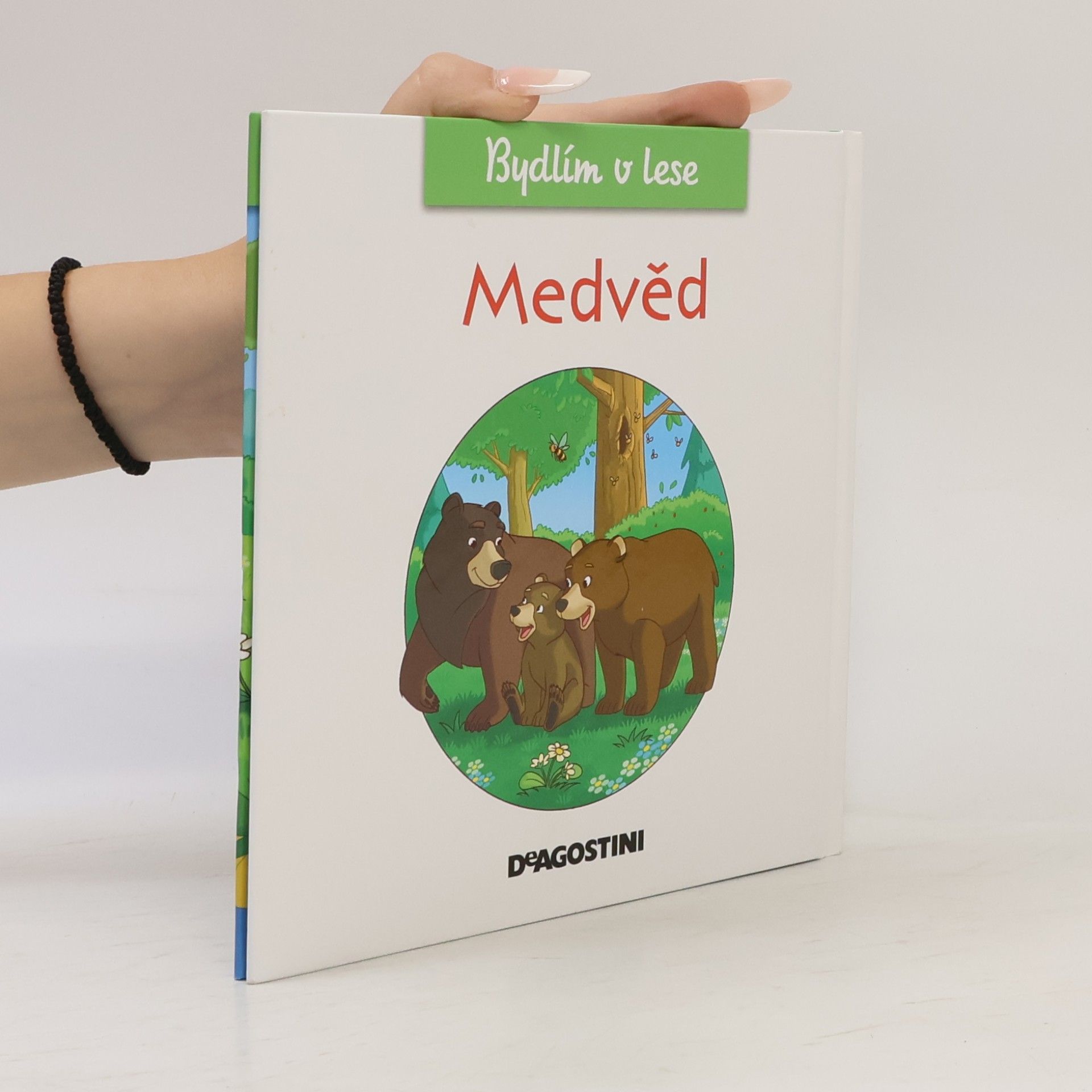 Kolektiv autorů Medvěd