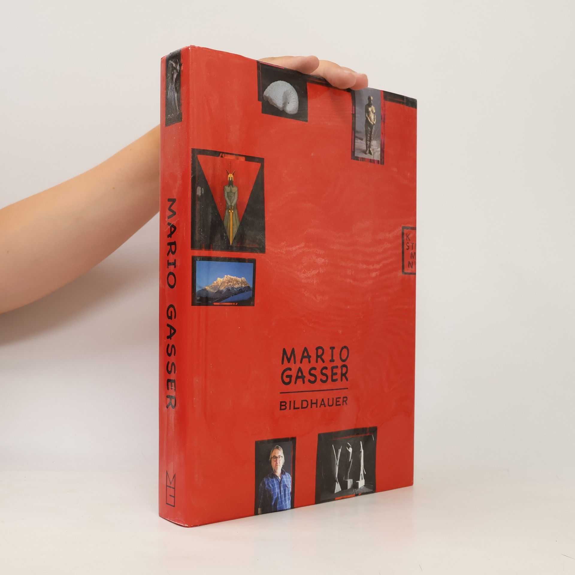 Gerhard Alfred Reisigl Mario Gasser