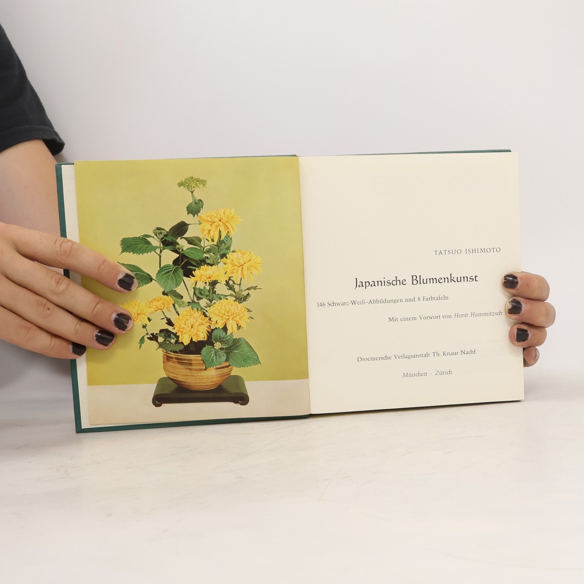 Tatsuo Ishimoto Japanische Blumenkunst