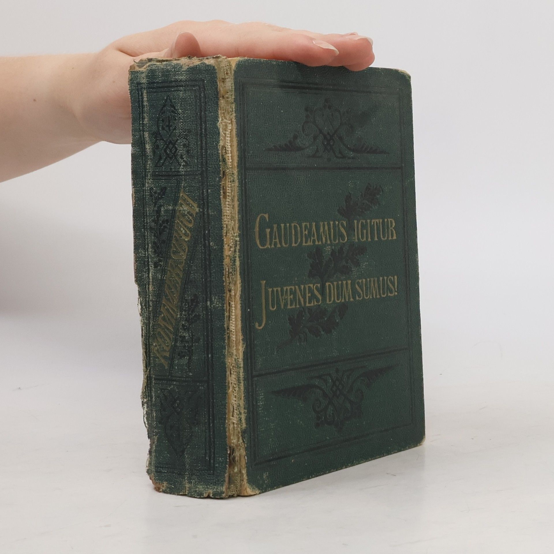 Autorenkollektiv Gaudeamus igitur juvenes dum sumus!