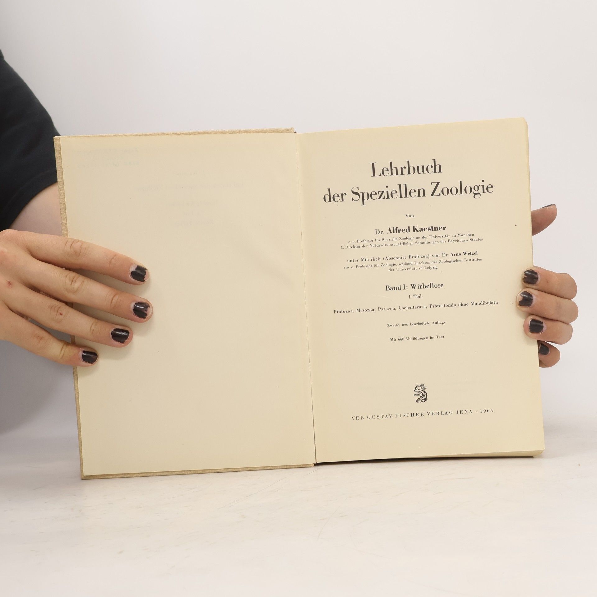 Alfred Kaestner Lehrbuch der Speziellen Zoologie