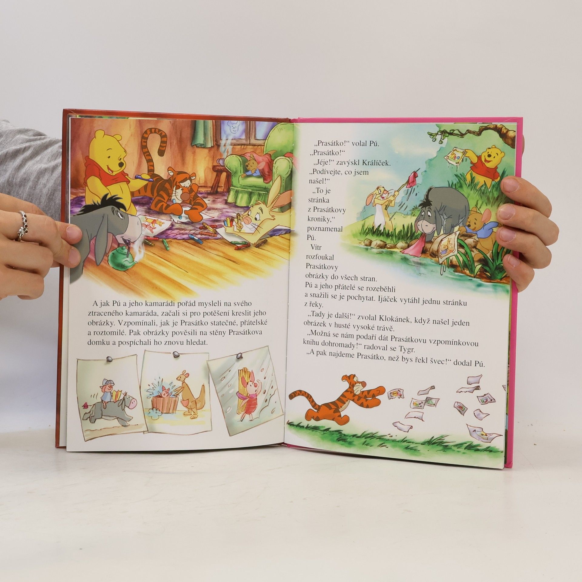Walt Disney Prasátko a jeho velký příběh