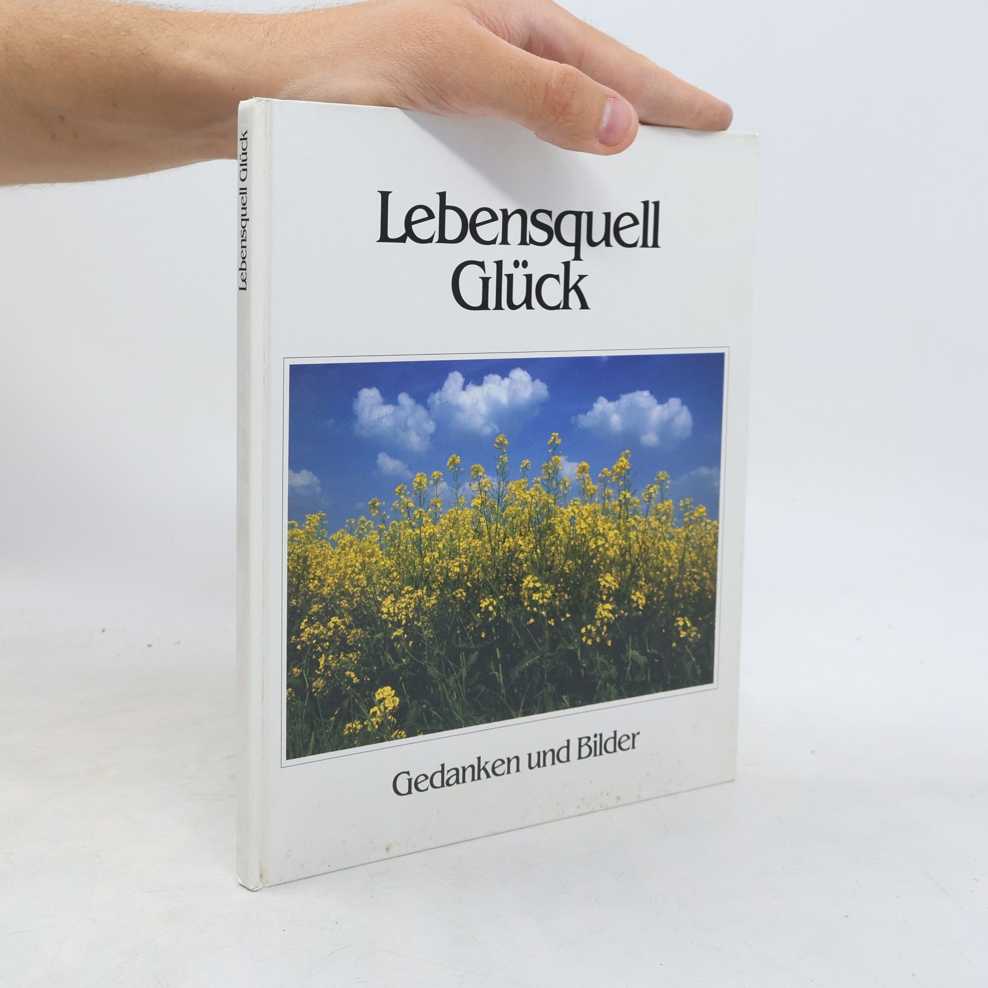 Autorenkollektiv Lebensquell Glück