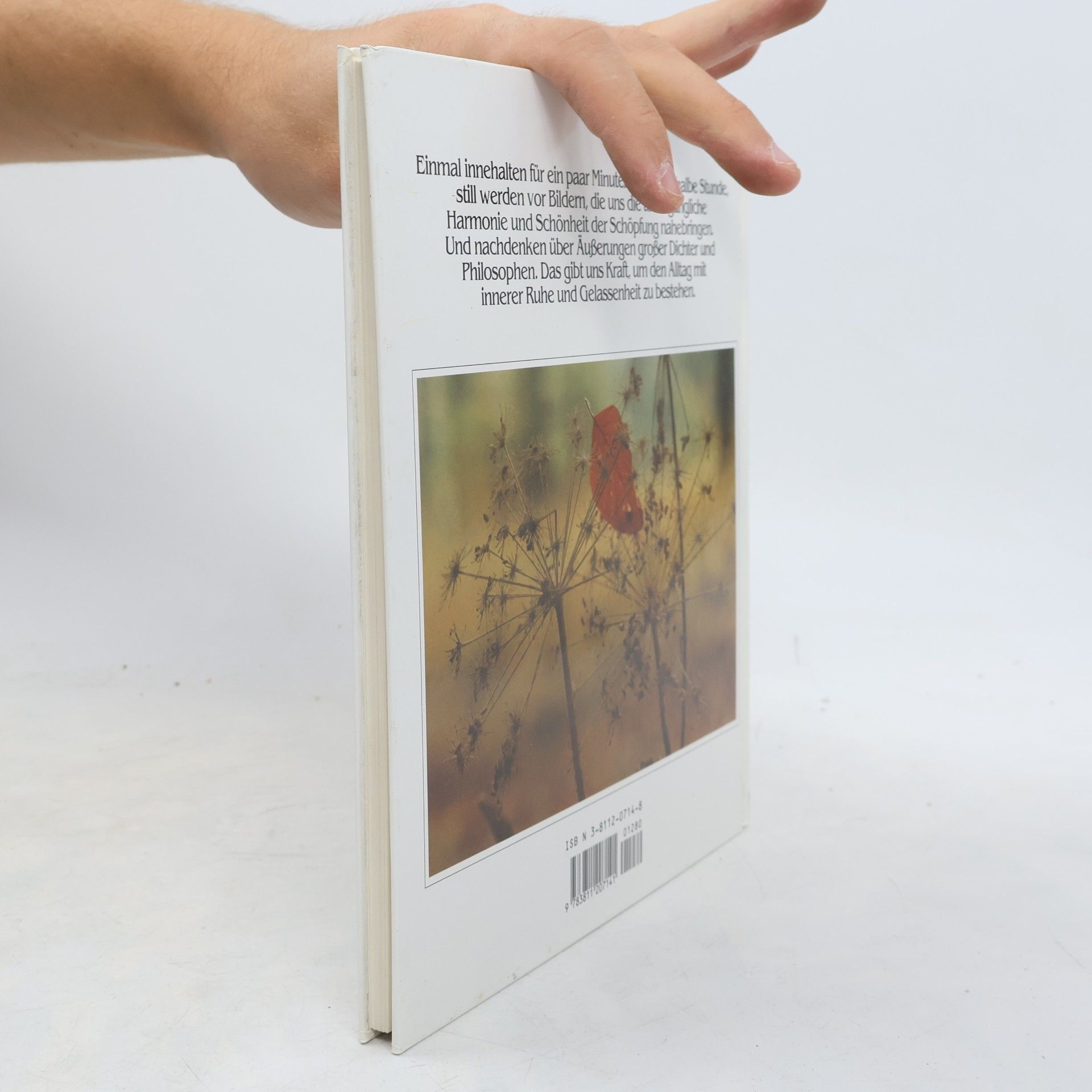 Collectif d'auteurs Lebensquell Glück