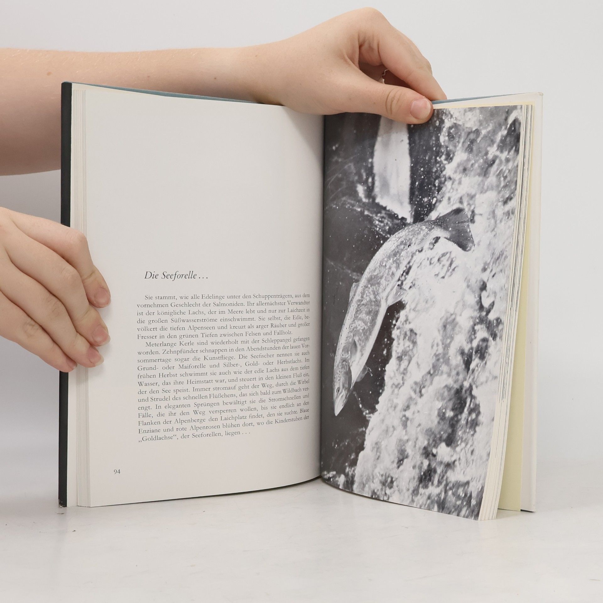 Rudolf Hartlieb Das Buch vom See