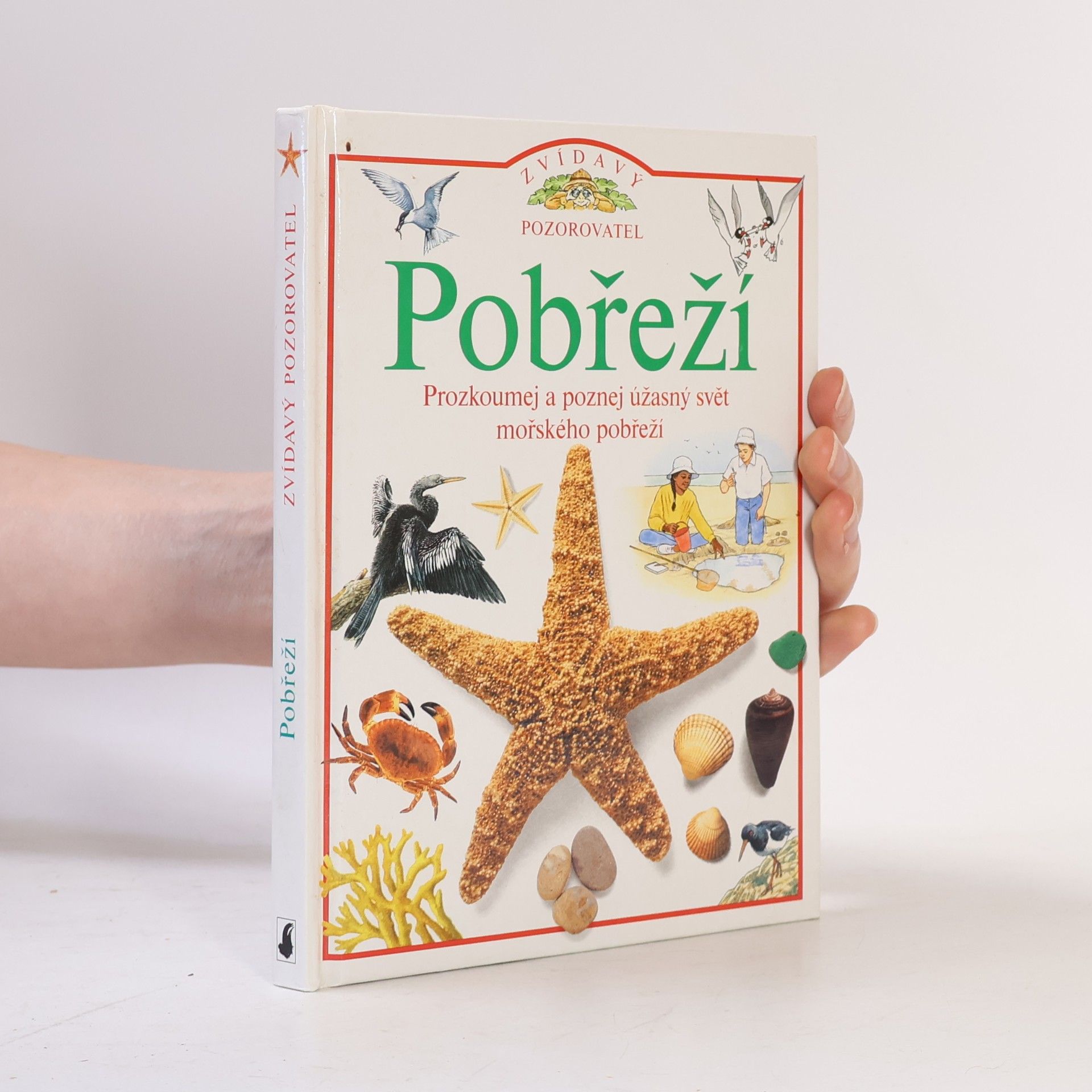 David Burnie Pobřeží